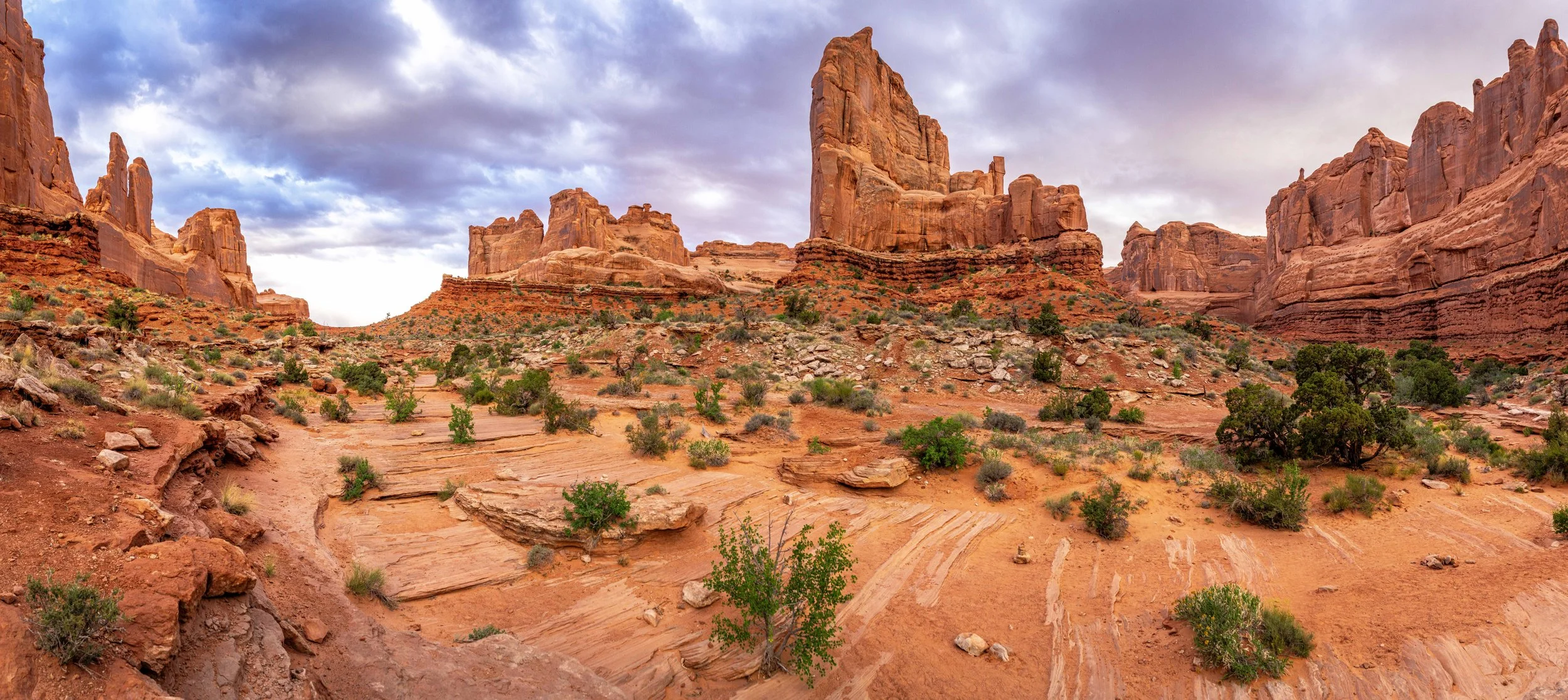 DSC07980-Pano.jpg
