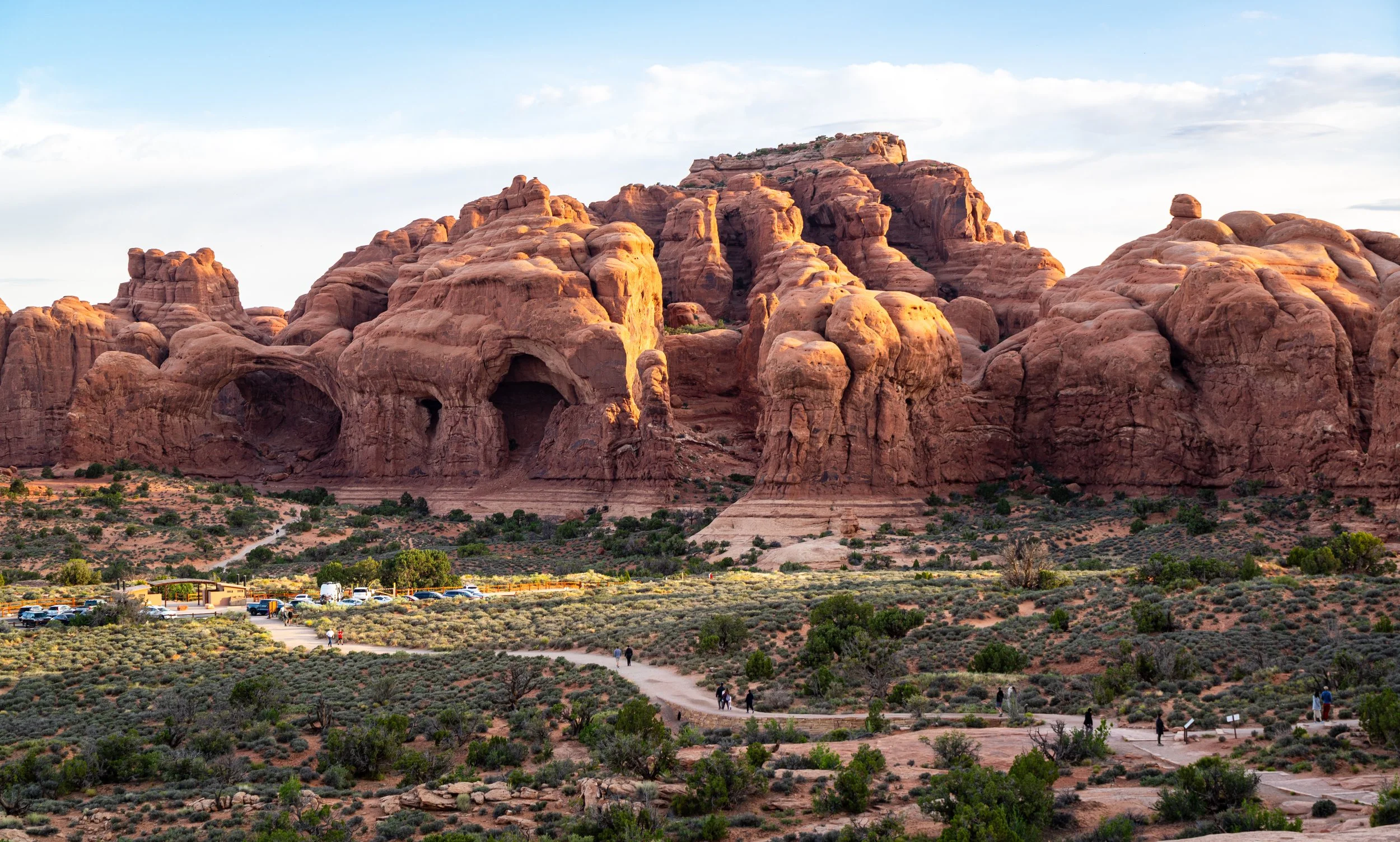 DSC08053.jpg