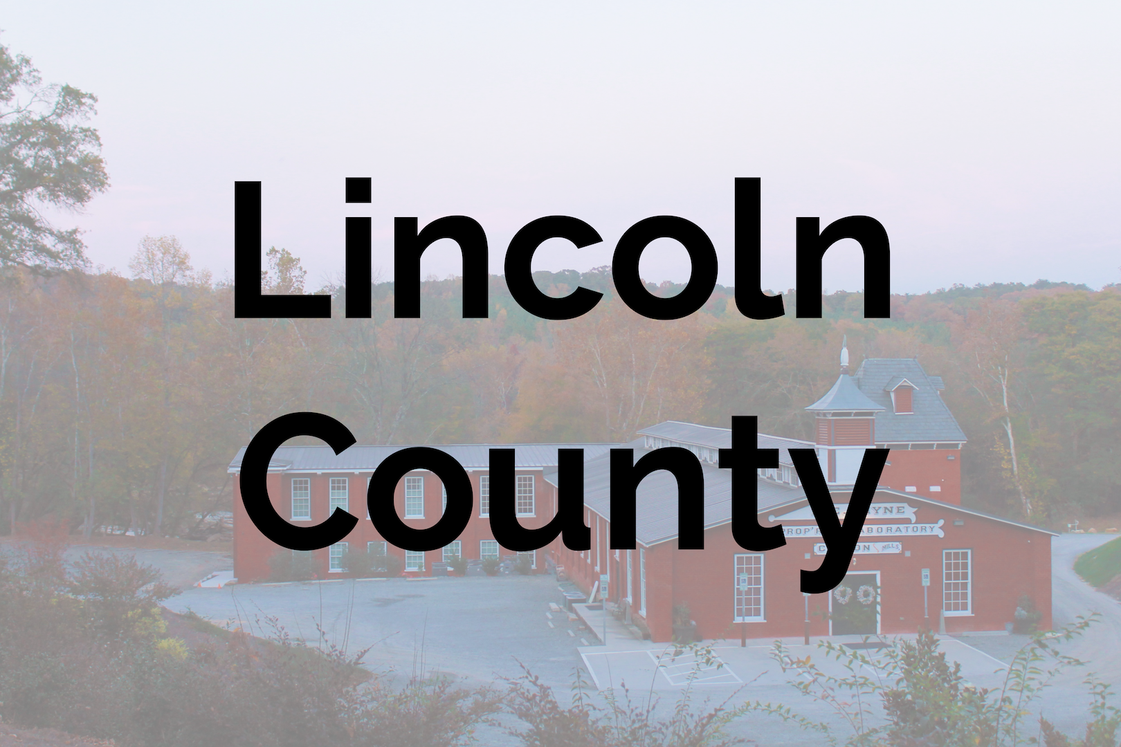 saine website 004@3x.png