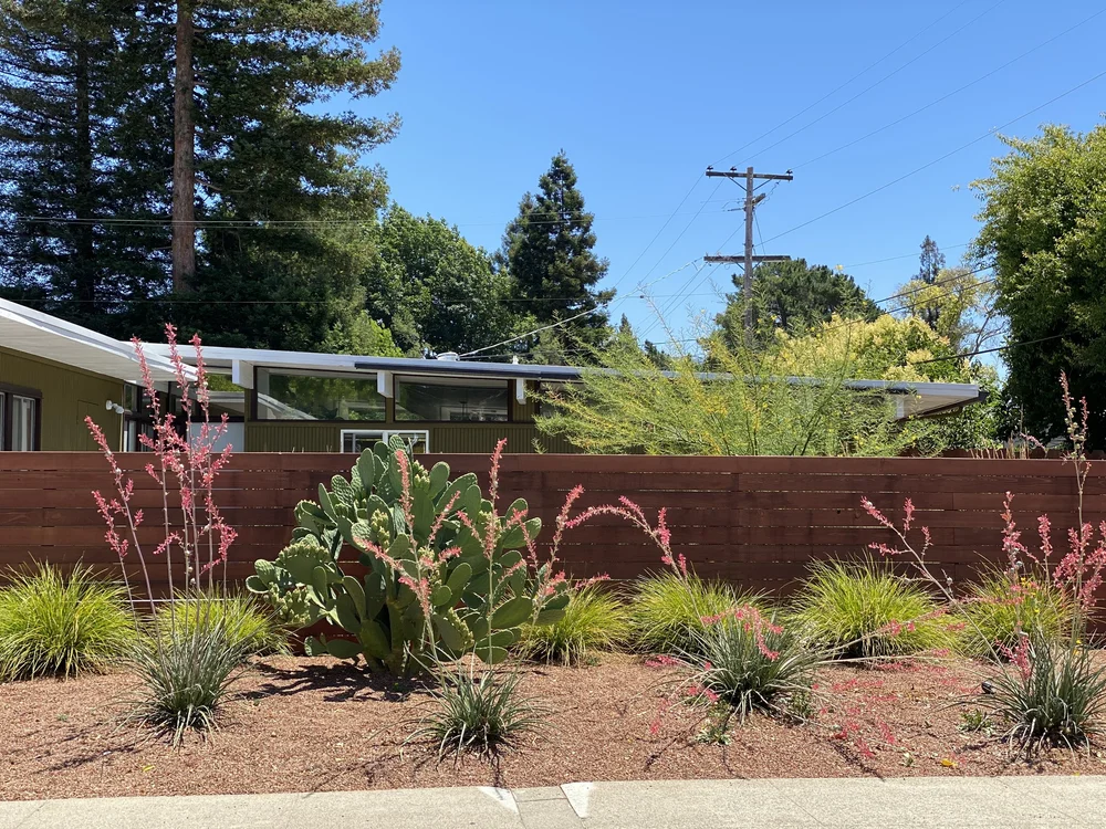 Rancho San Miguel Walnut Creek California Eichler Modern Garden