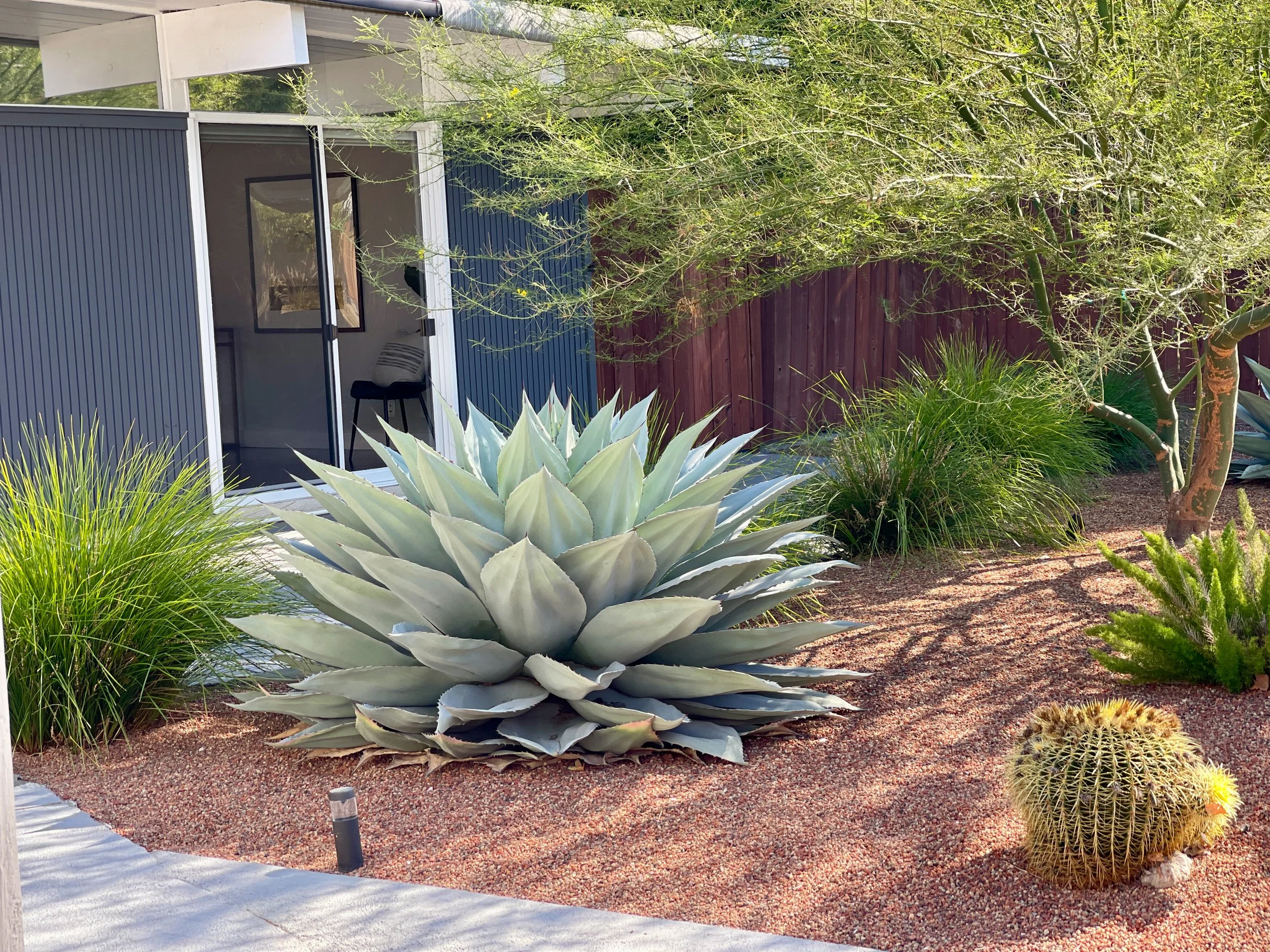Rancho San Miguel Walnut Creek California Eichler Modern Garden