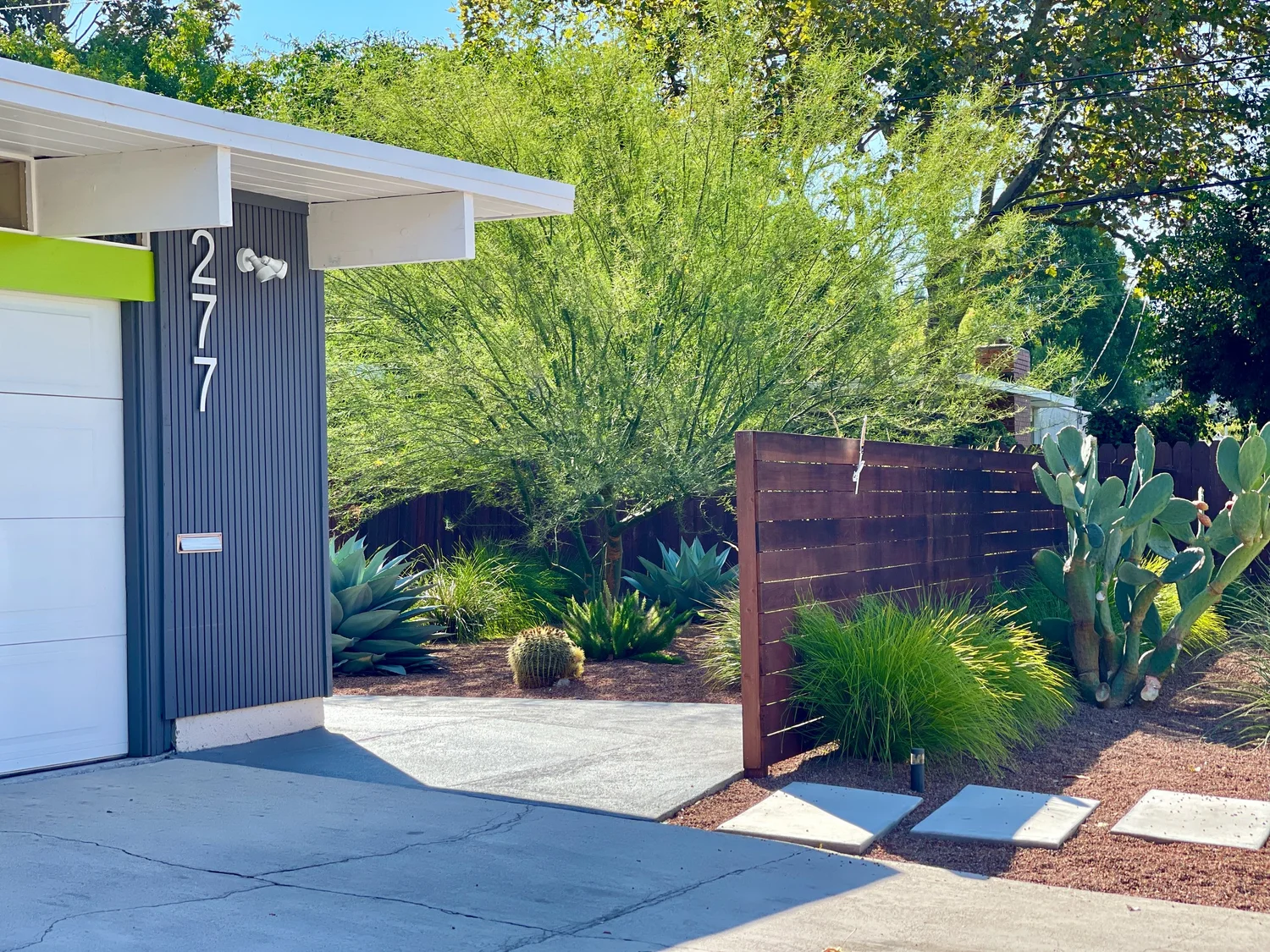 Rancho San Miguel Walnut Creek California Eichler Modern Garden