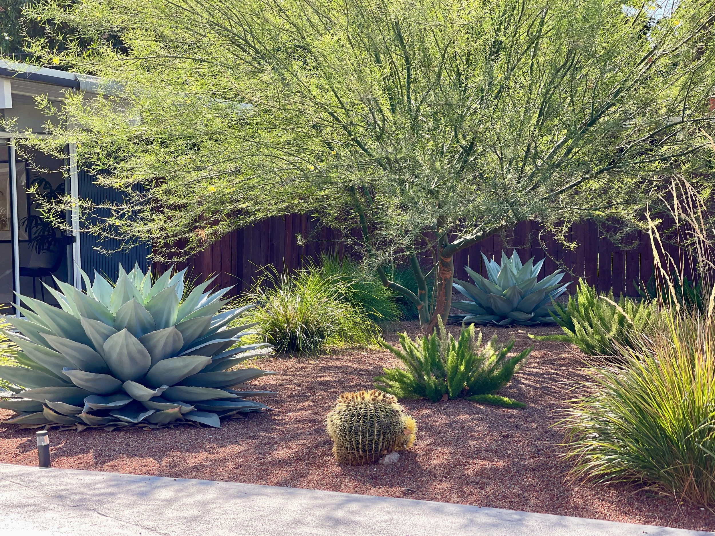 Rancho San Miguel Walnut Creek California Eichler Modern Garden