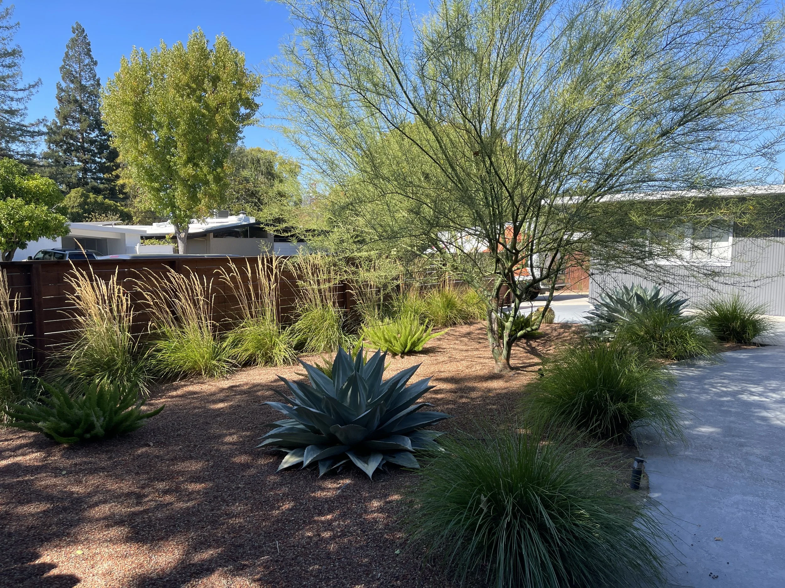 Rancho San Miguel Walnut Creek California Eichler Modern Garden