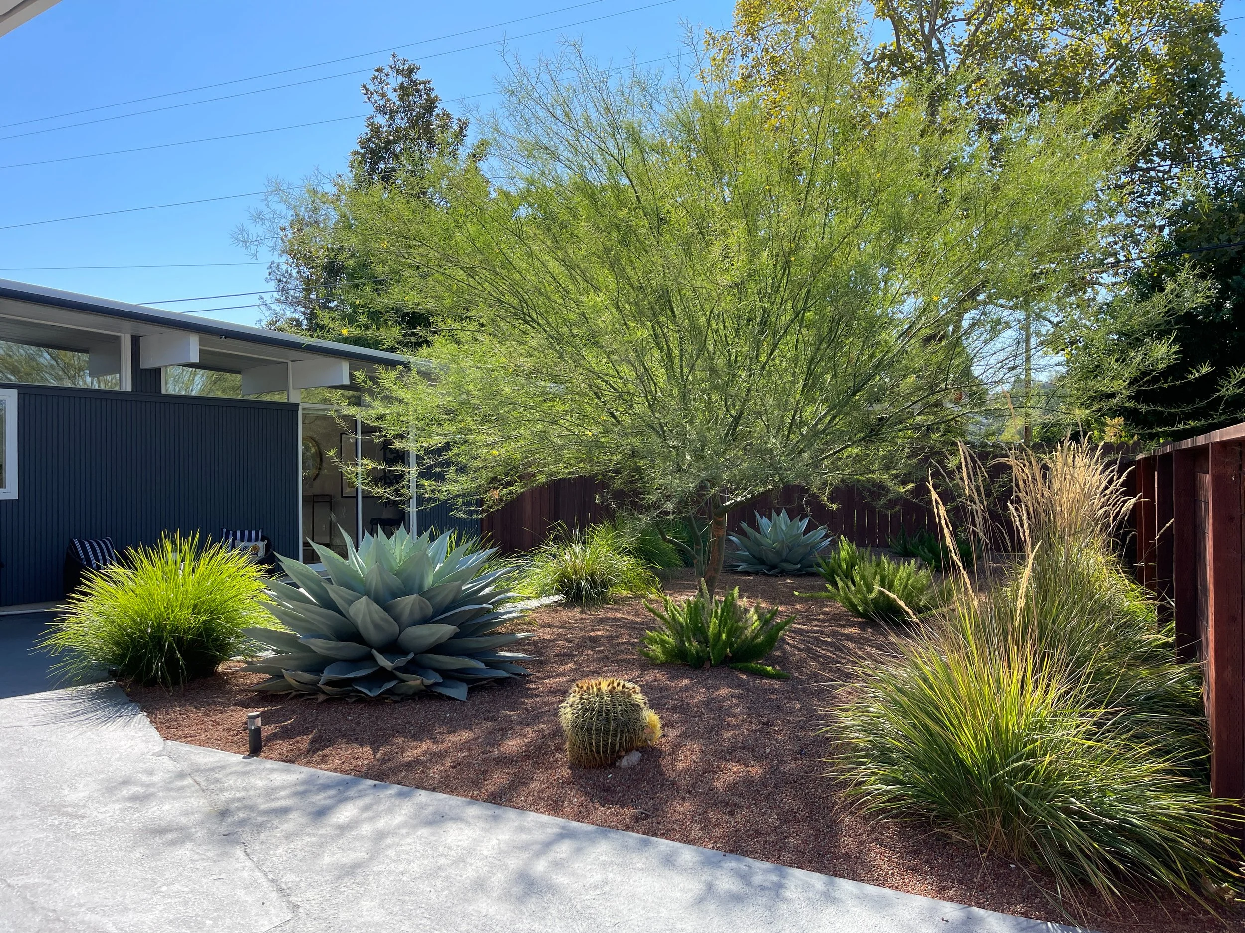 Rancho San Miguel Walnut Creek California Eichler Modern Garden