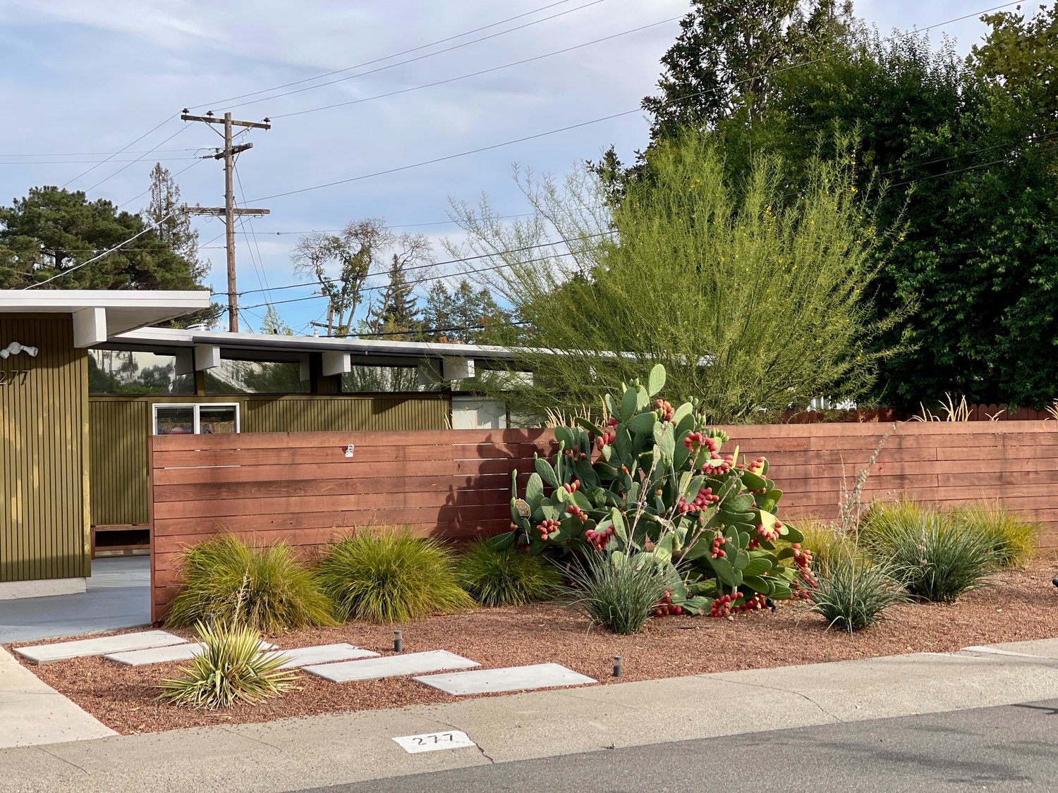 Rancho San Miguel Walnut Creek California Eichler Modern Garden