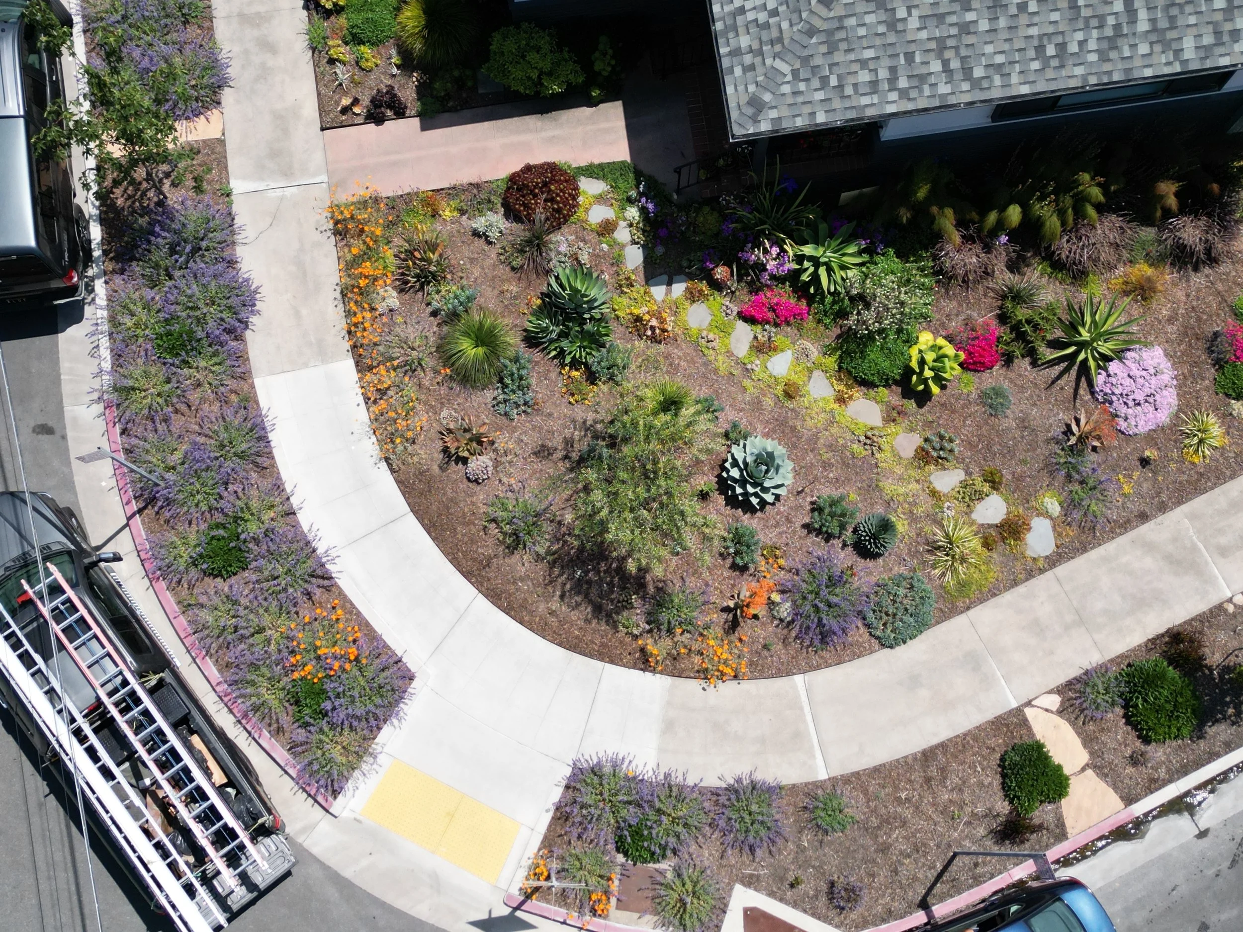 dji_fly_20230601_143352_30_1685687924751_photo.jpeg