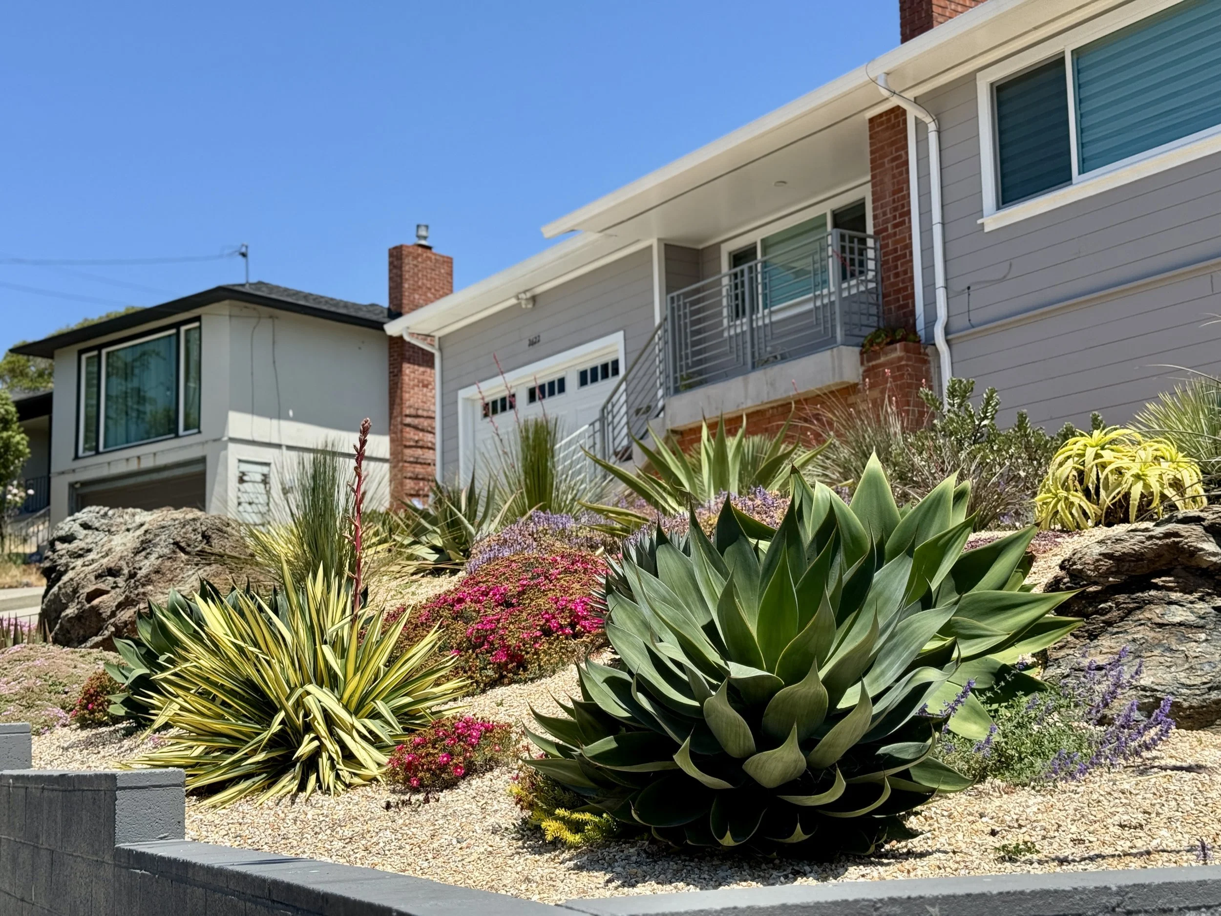 Tamalpais fire resistant garden design.