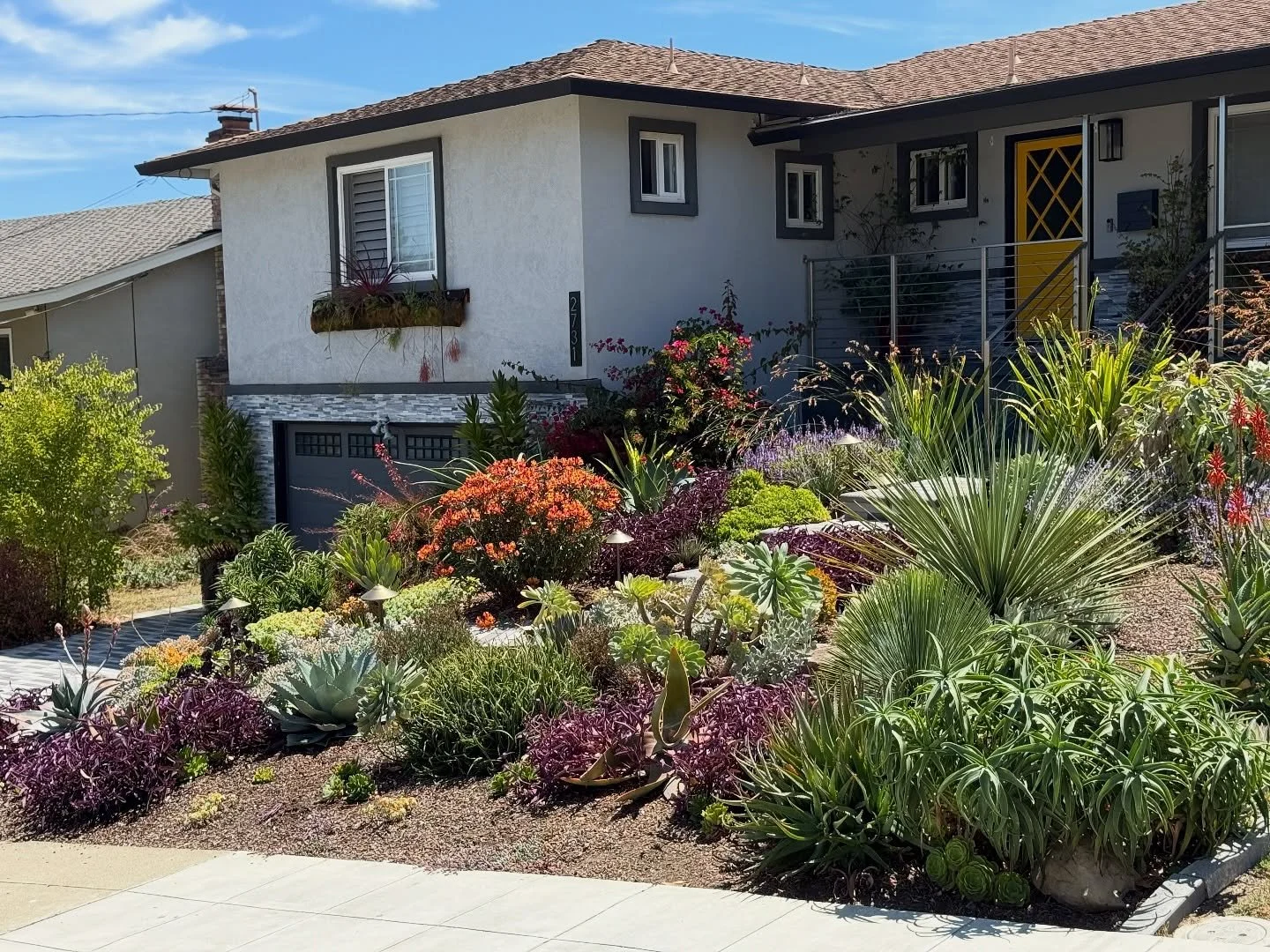 Gardens take time. 🦋 What was once a plastic sheet mulched wasteland of a former lawn is now a rich, colorful tapestry of textures, sculptural succulents and pollinator friendly perennials. This garden was completed in June 2023 and just two years l