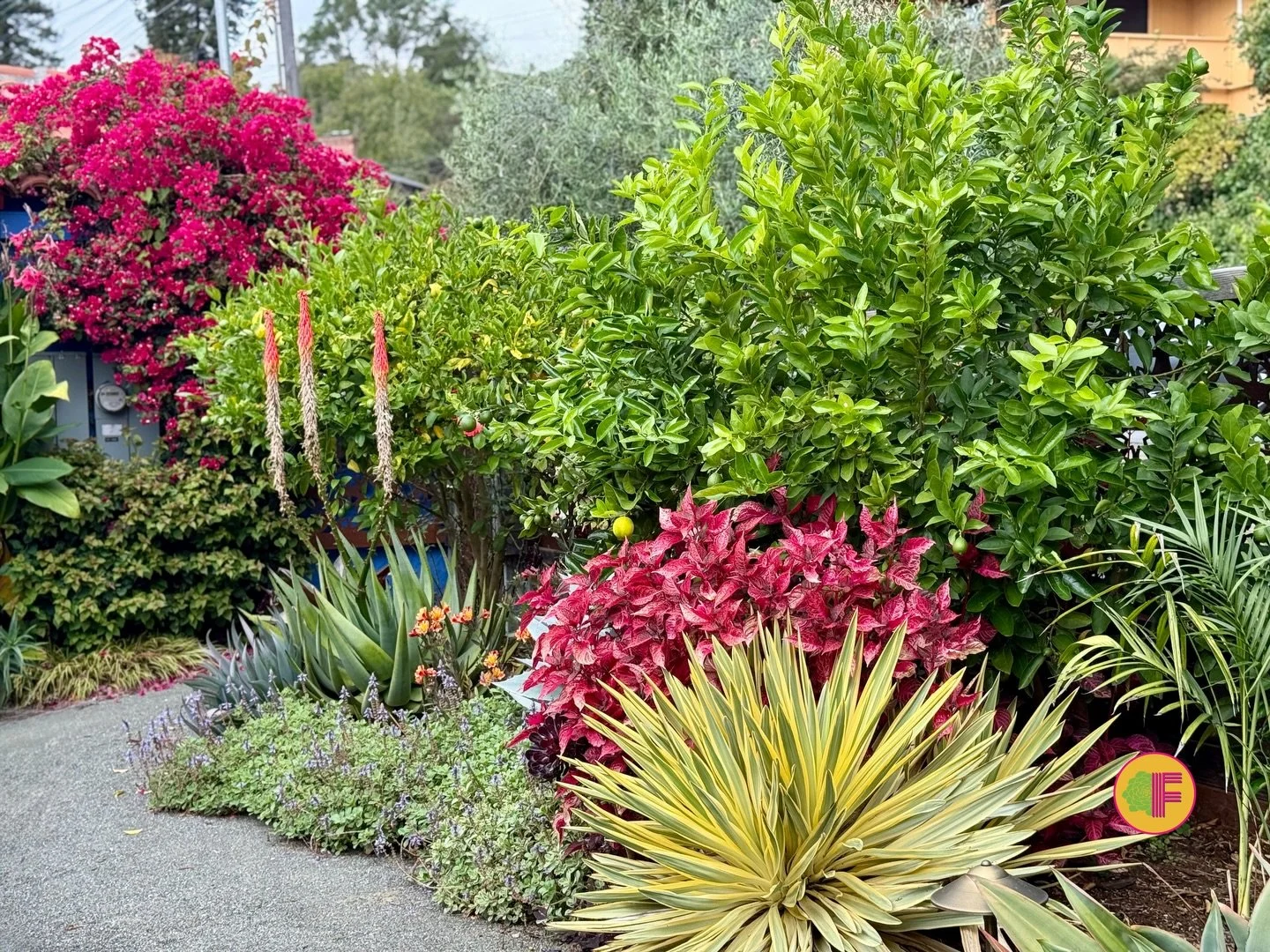 📱 Your garden runs on your schedule &mdash; not the other way around.

The @rachioco Rachio 3 Smart Irrigation Controller is a system Farallon Gardens is proud to recommend &mdash; built for homeowners who want their landscape to perform as precisel