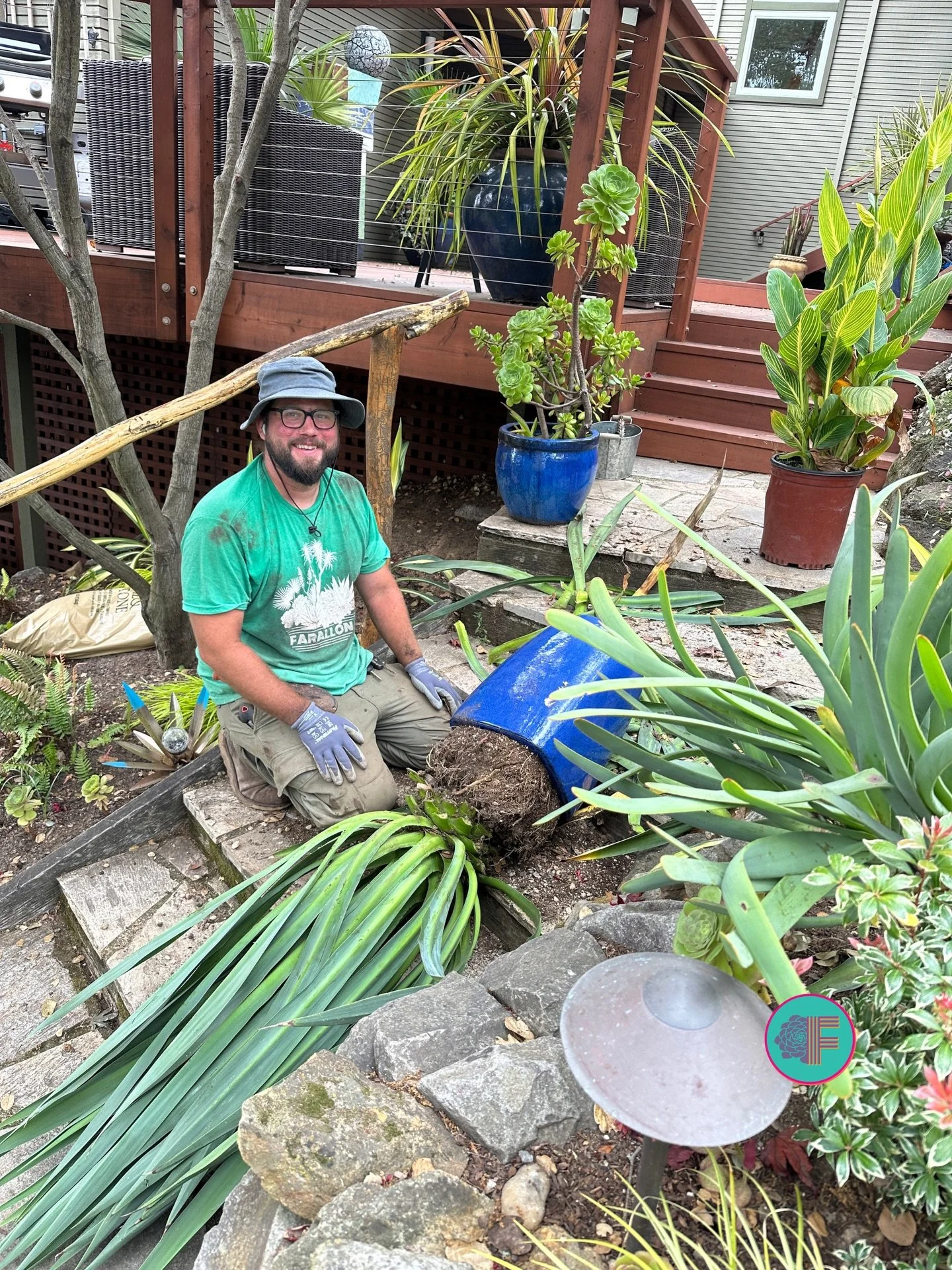 We&rsquo;ve been maintaining Bay Area gardens since 2003. 📅 Our team of skilled horticultural professionals catches problems early &mdash; because in most cases, we&rsquo;re the ones who designed and planted your garden in the first place. We know i