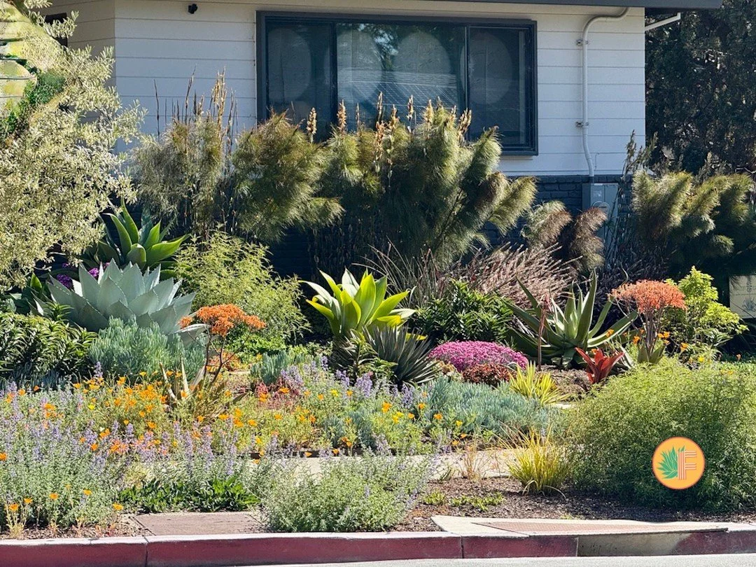 🔬 Bay Area deer are not a nuisance. They are a biological system &mdash; and like any system, once you understand how it operates, you can design around it with precision. 🦌

Deer are highly selective foragers, drawn instinctively to specific plant