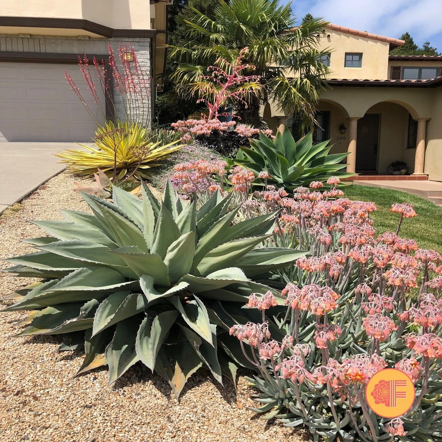 🔥 Is your Bay Area home ready for fire season? 🌵

What if your landscape could be BOTH stunning AND a protective barrier against wildfires?

Succulent landscaping is changing the game for fire safety in the Bay Area. These beautiful, water-storing 