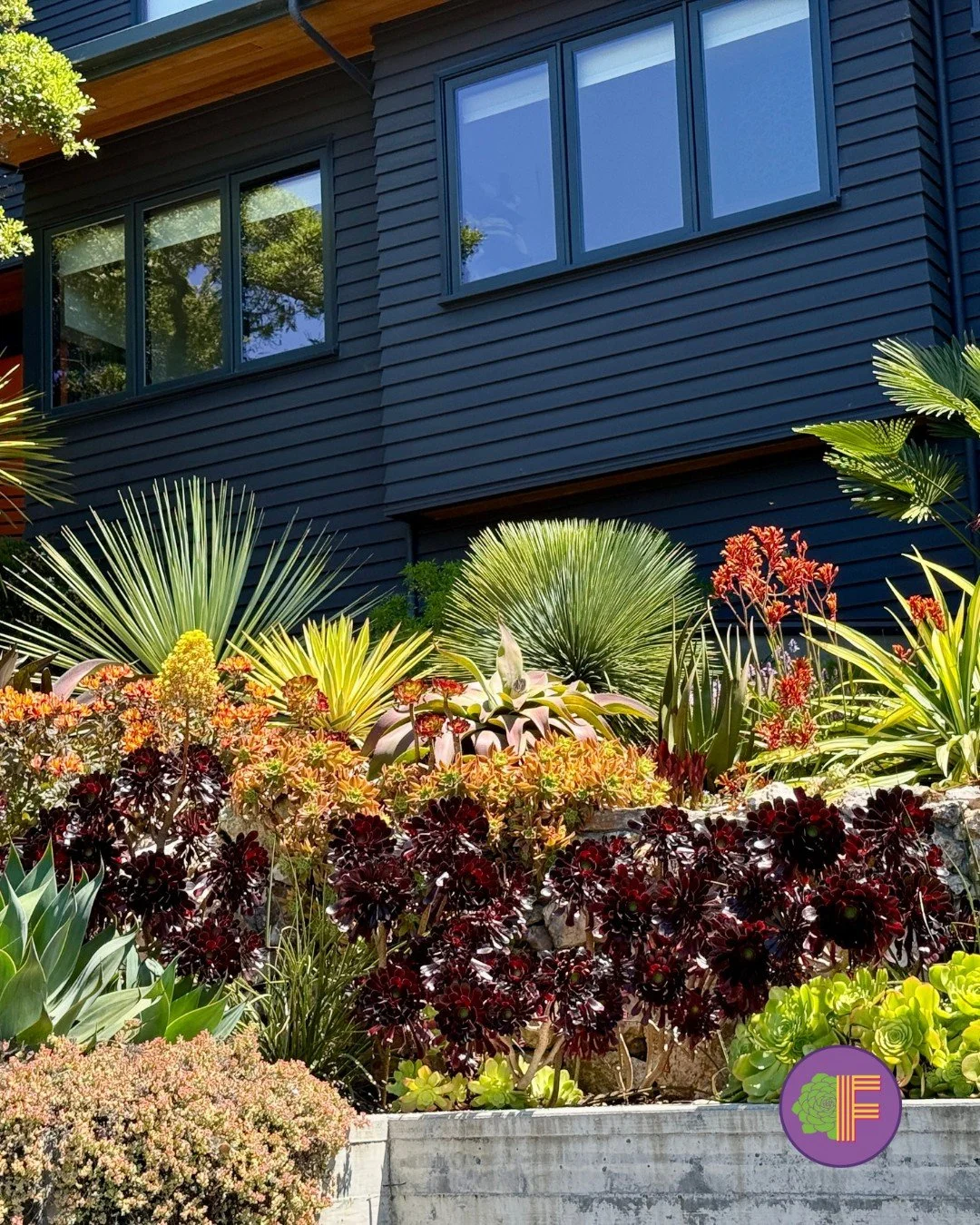 🔥 Fire-Smart Landscaping Starts with the Right Plants 🌵

Did you know succulents can help protect your home from wildfire? These beauties are natural fire fighters!

Why succulents work: 

💧 High moisture content = harder to ignite 
🌱 Low, compac