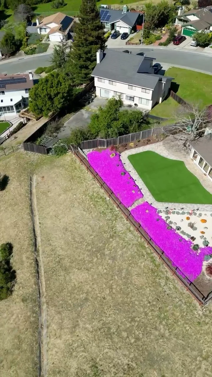 ⚠️ The EMBER law is in effect NOW.

Is your Berkeley hillside property compliant? Annual inspections have begun.

Here's what needs to be done in your Zone 0 (the 5-foot perimeter around all structures):

✂️ Remove all in-ground vegetation 
🪨 Instal