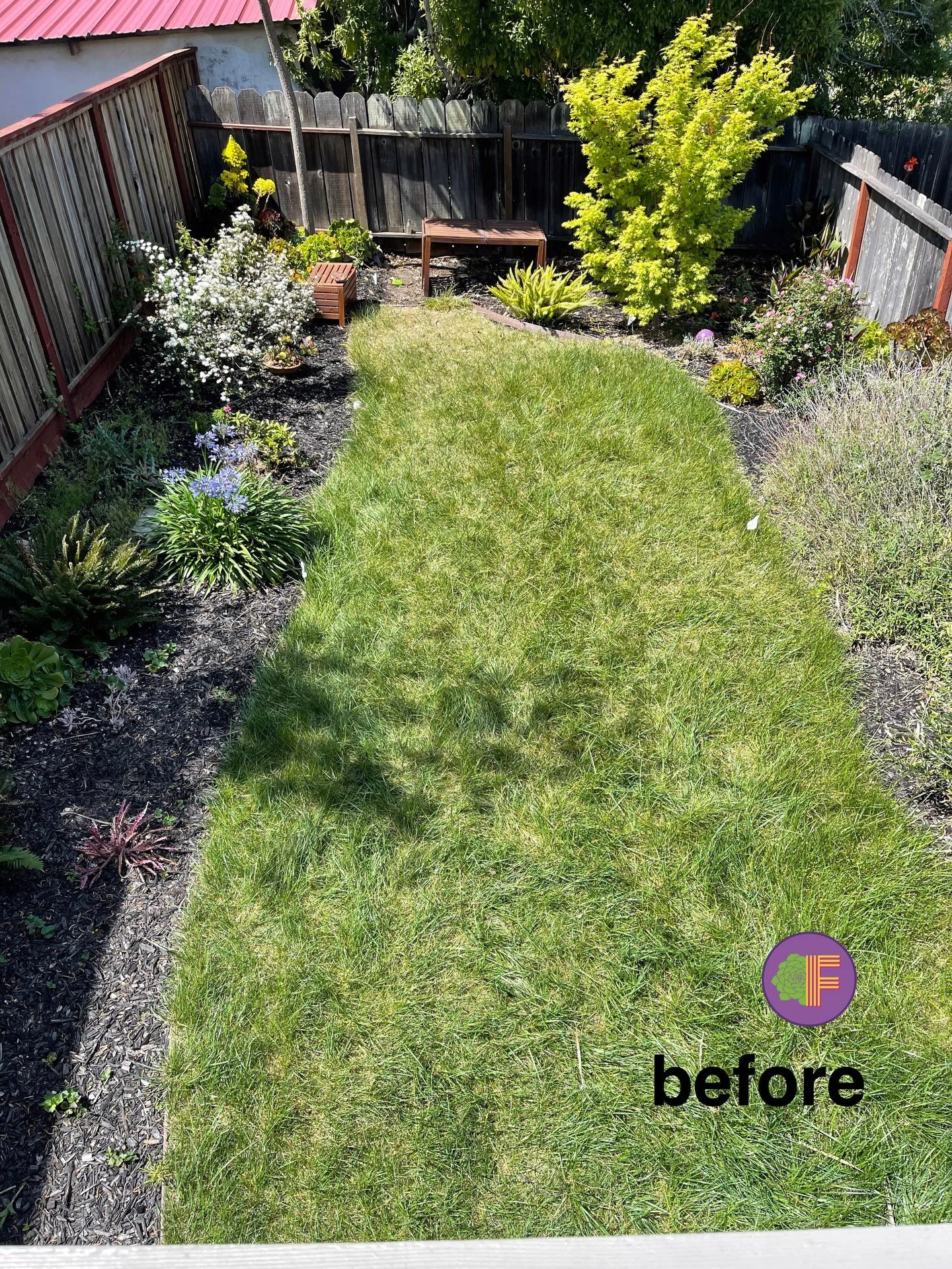 🏡 Before &amp; After: Easterby Garden &mdash; Sausalito, CA

This flat Sausalito lot has a warm Mediterranean microclimate, excellent sun exposure, direct harbor views, and a deck above the garden with a full bird&rsquo;s-eye view of the space. It c