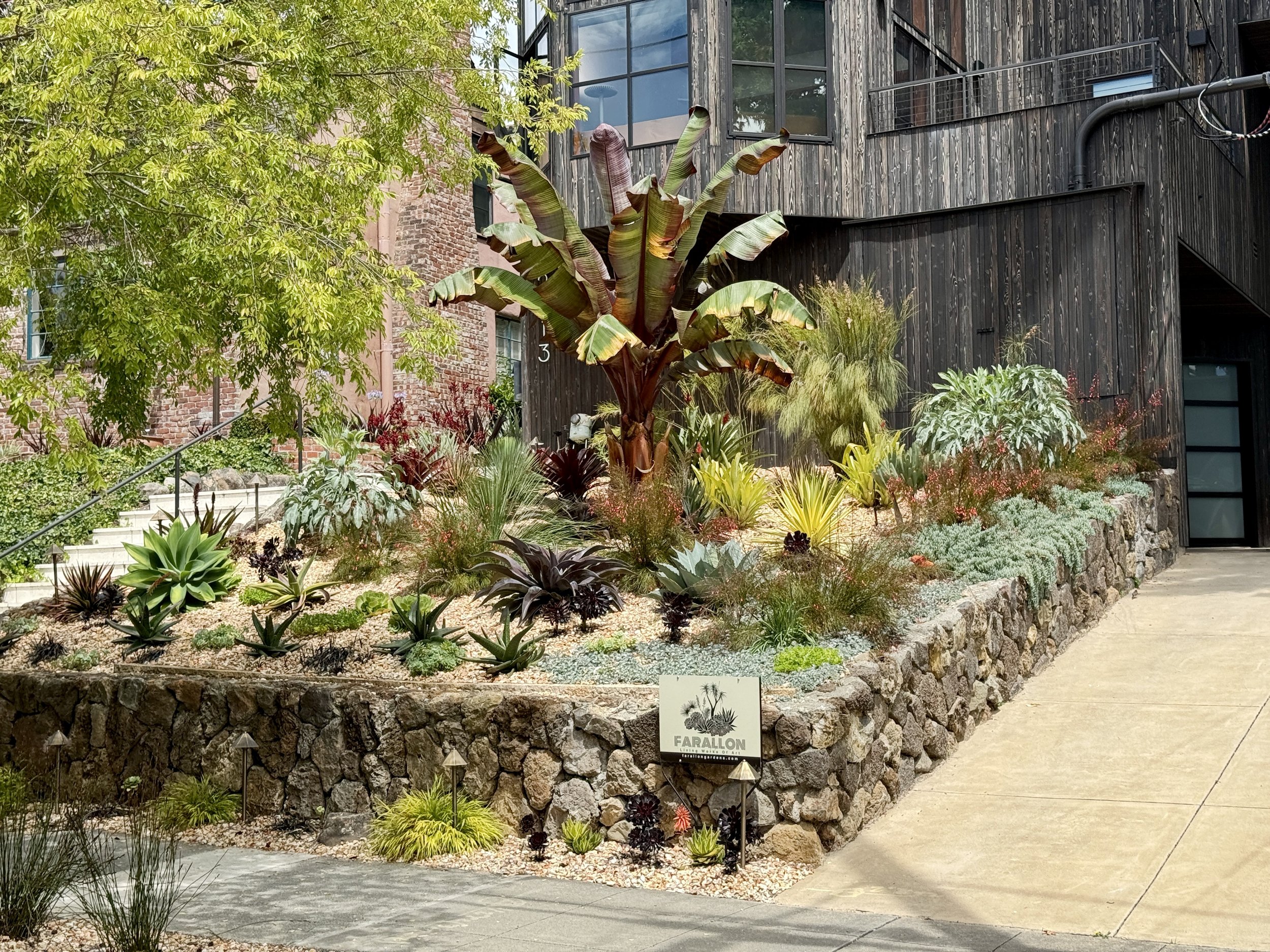 IMG_0897.jpeg