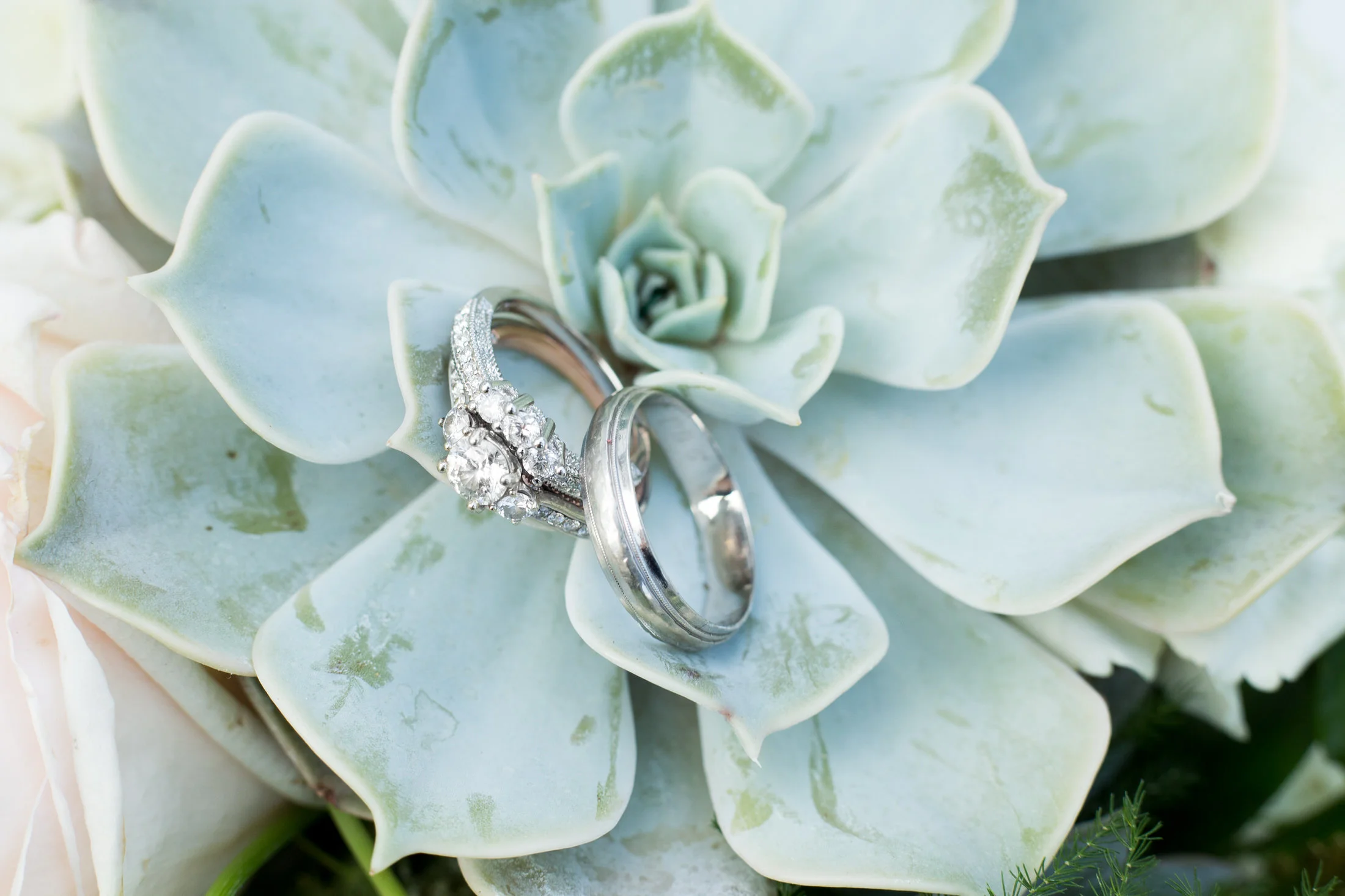 Stephanie & Zachary by Julia S-451.jpg