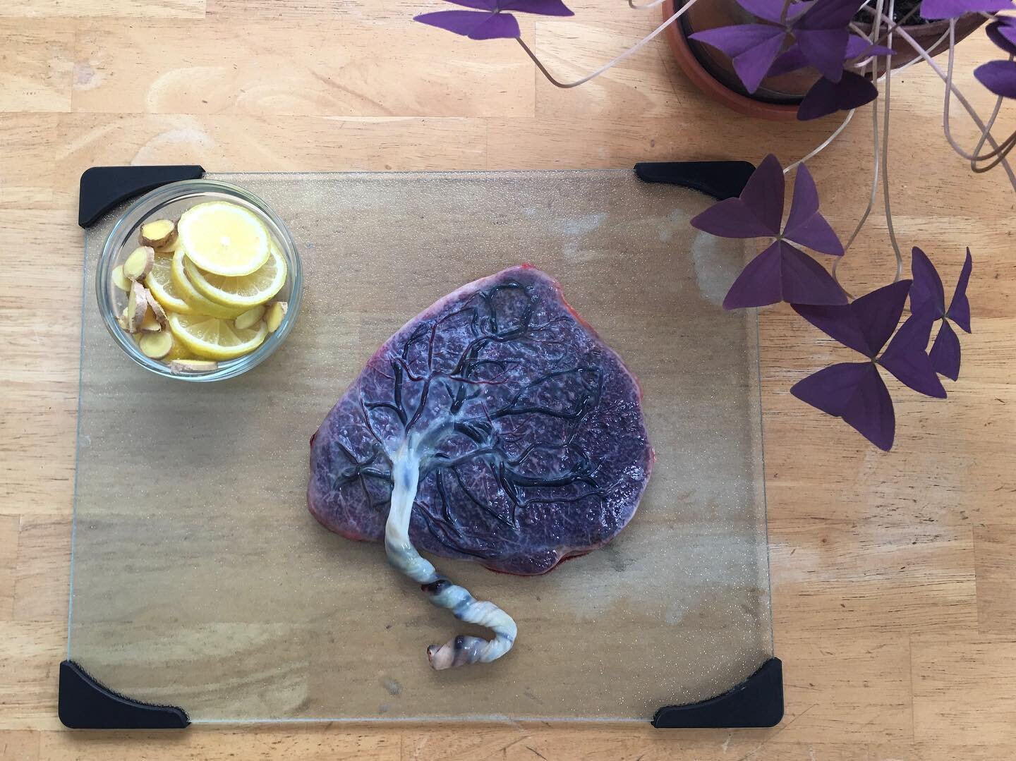 From burying it in the backyard and planting a tree, to consuming it for postpartum benefits, people are choosing to bring ceremony to the placenta. Honouring this magical organ is one way we can bring intention and ritual into the postpartum period.