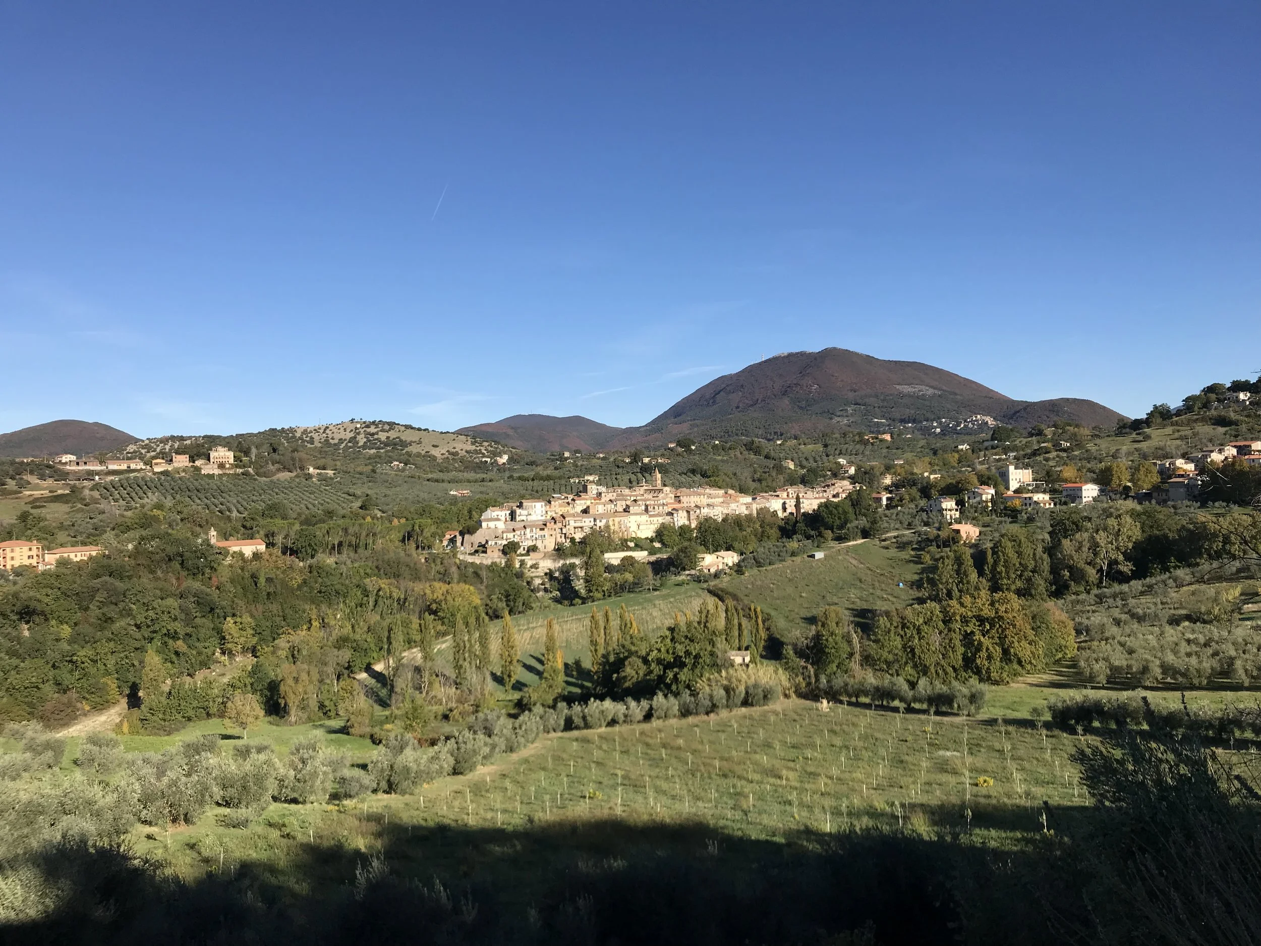 torri landscape.jpg