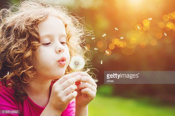 Photo by ulkas/iStock / Getty Images