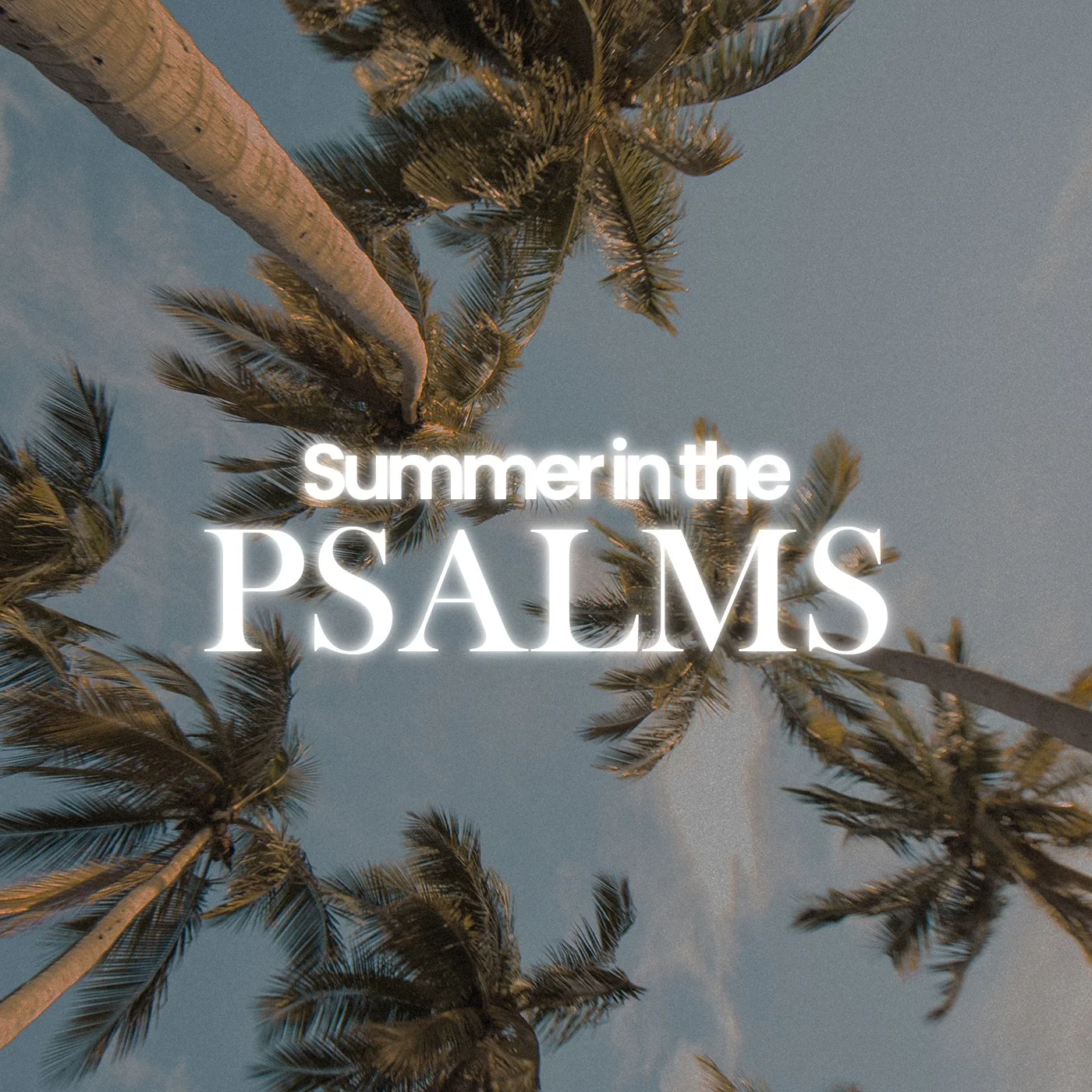 Psalm 11 - An Immoveable Confidence
