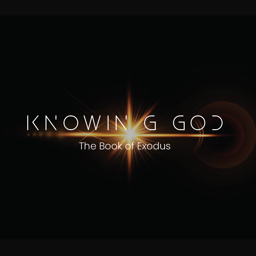 God's Presence - Exodus 35-40