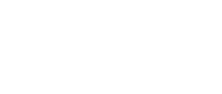 Brix 25°