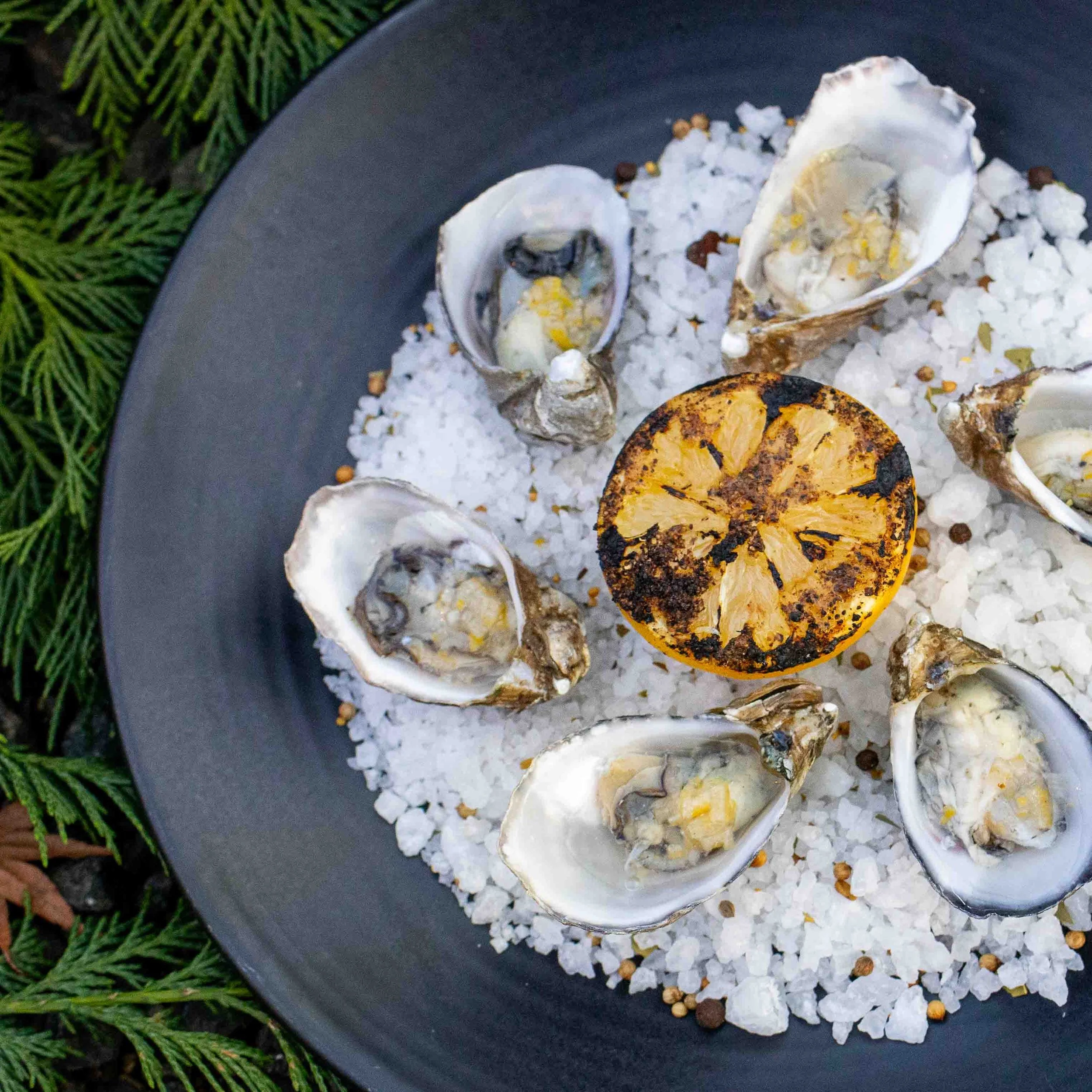 Welcome to waterfront dining — Brix 25°