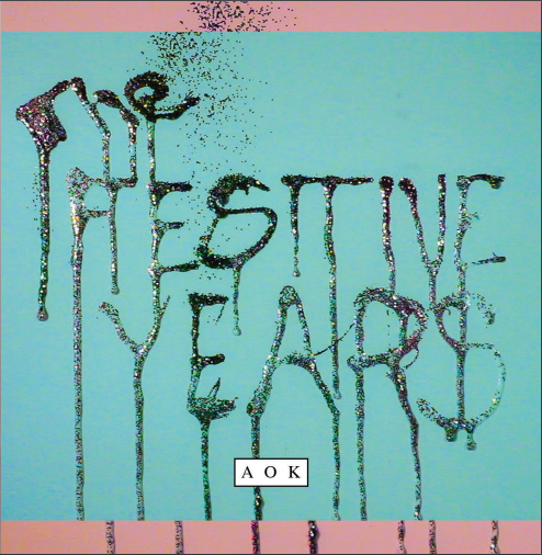 AOK front cover.jpeg.PNG