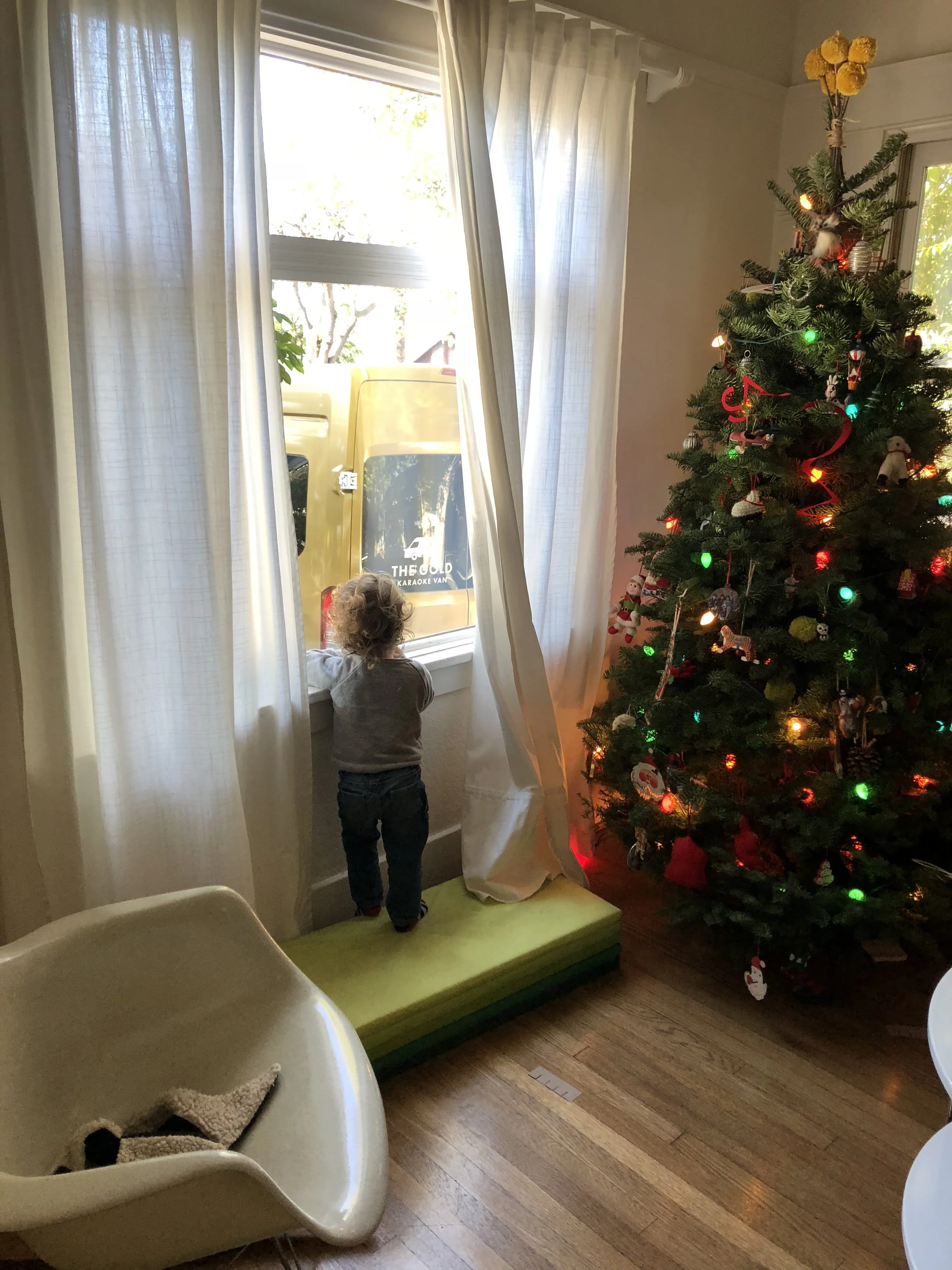 IMG_2209.jpeg