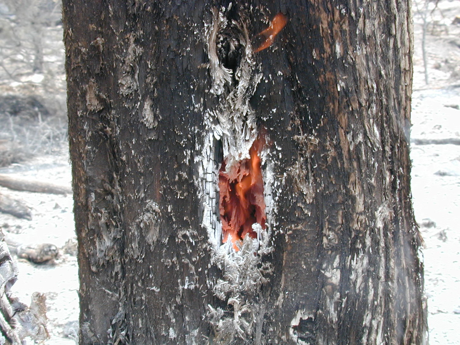 Fire Inside