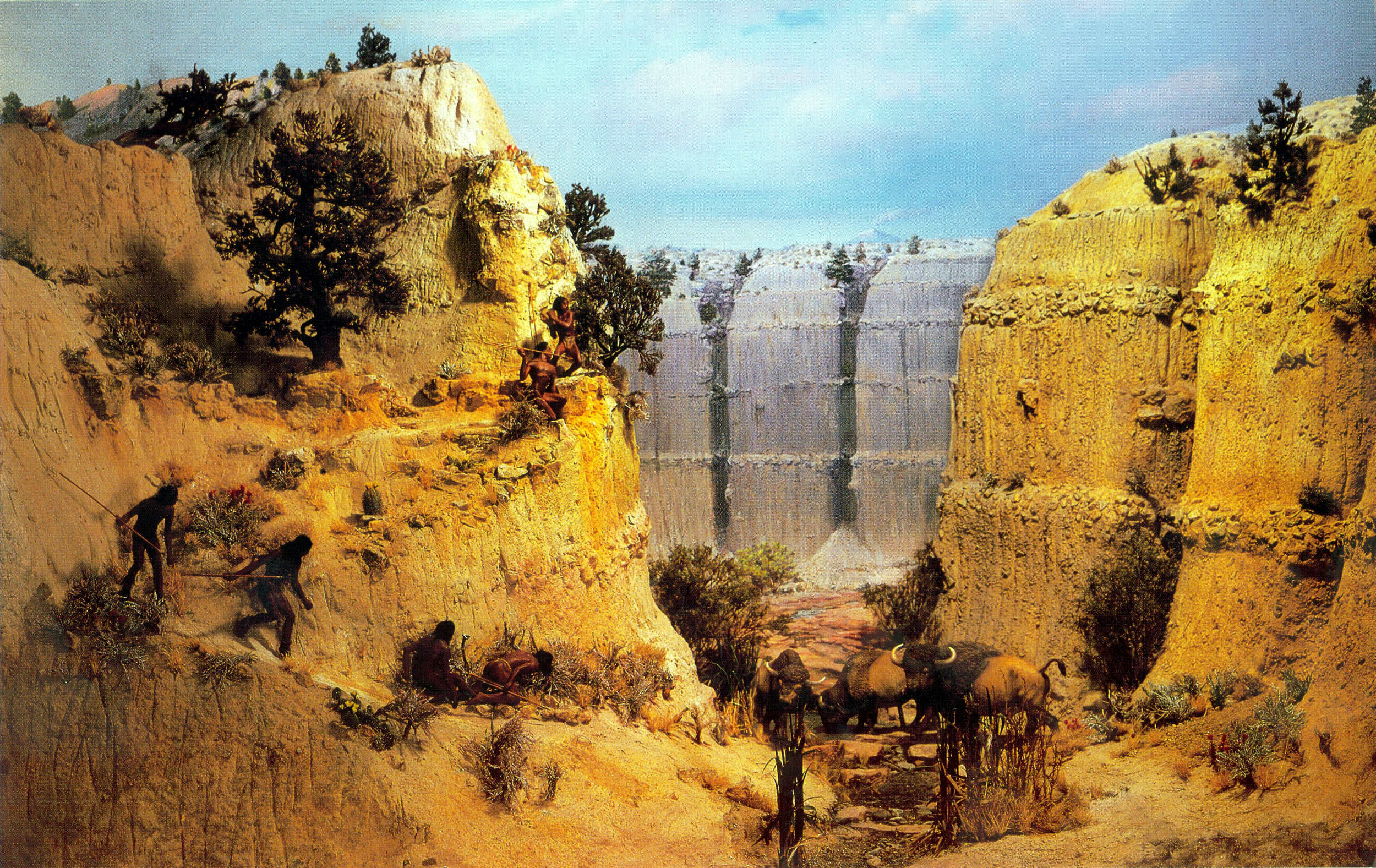 Diorama #1 depicting a bison hunt 2,000+ years ago. NPS Photo.