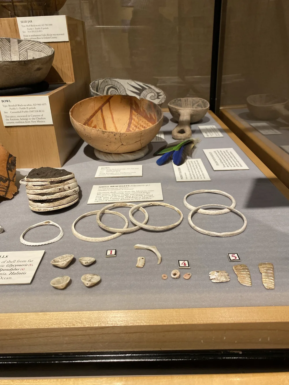 Shell Bangles and Beads