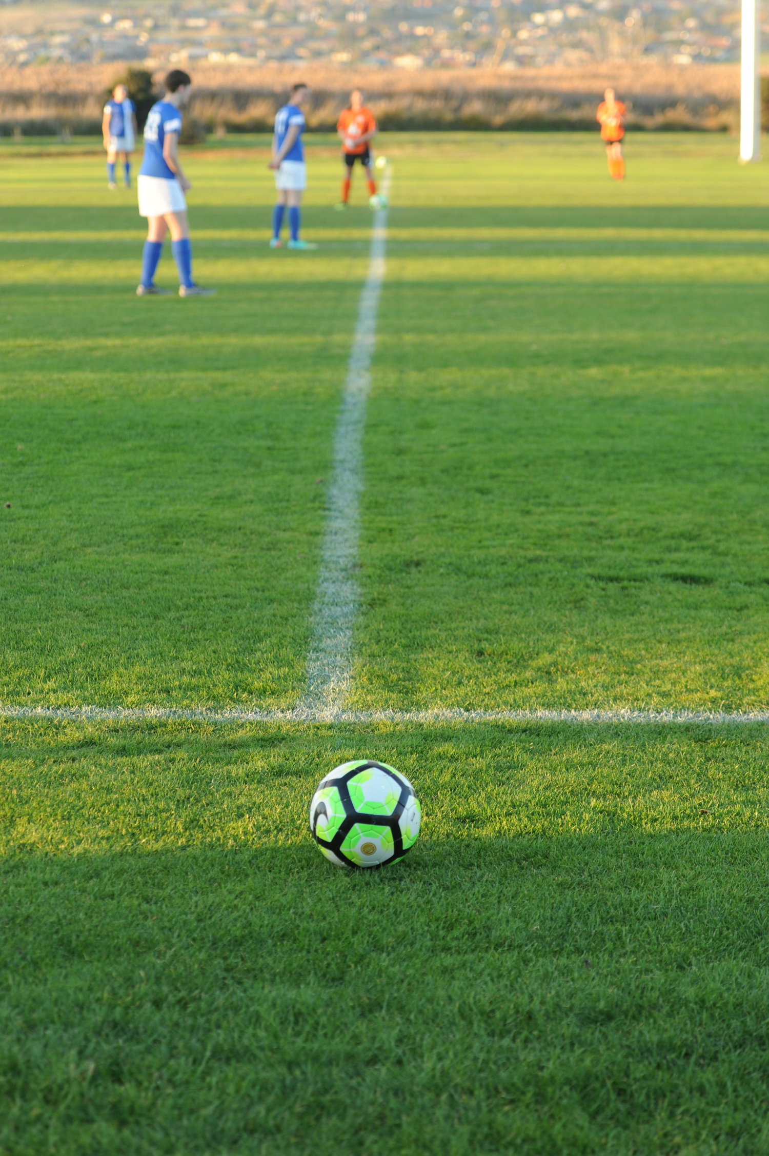 ROFC-0547.jpg