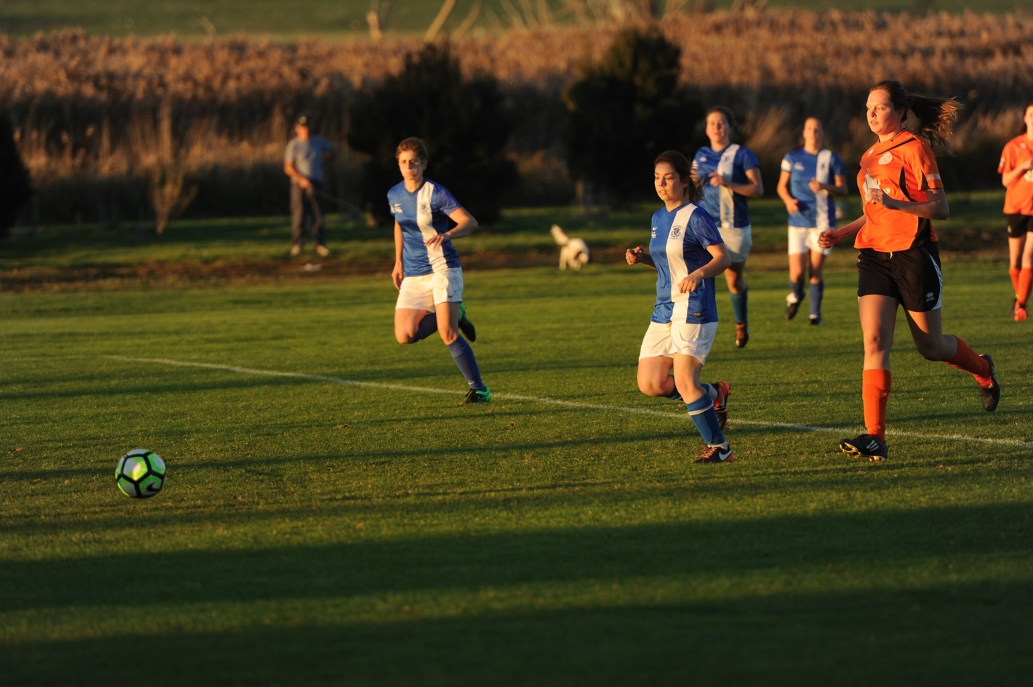 ROFC-0555.jpg