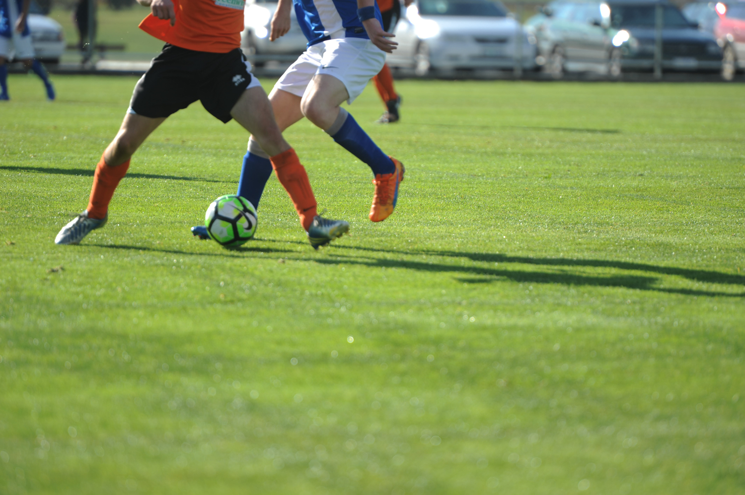 ROFC-9647.jpg