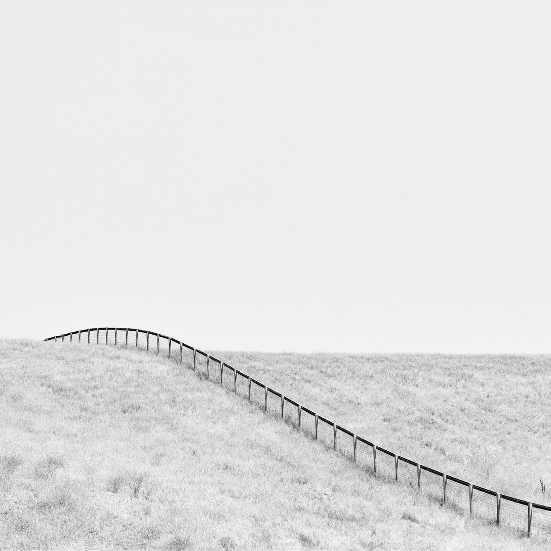Artist Spotlight: Grégoire Moulin