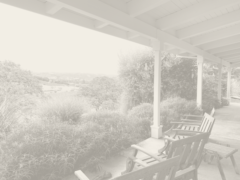 flatlayfilter (3).png