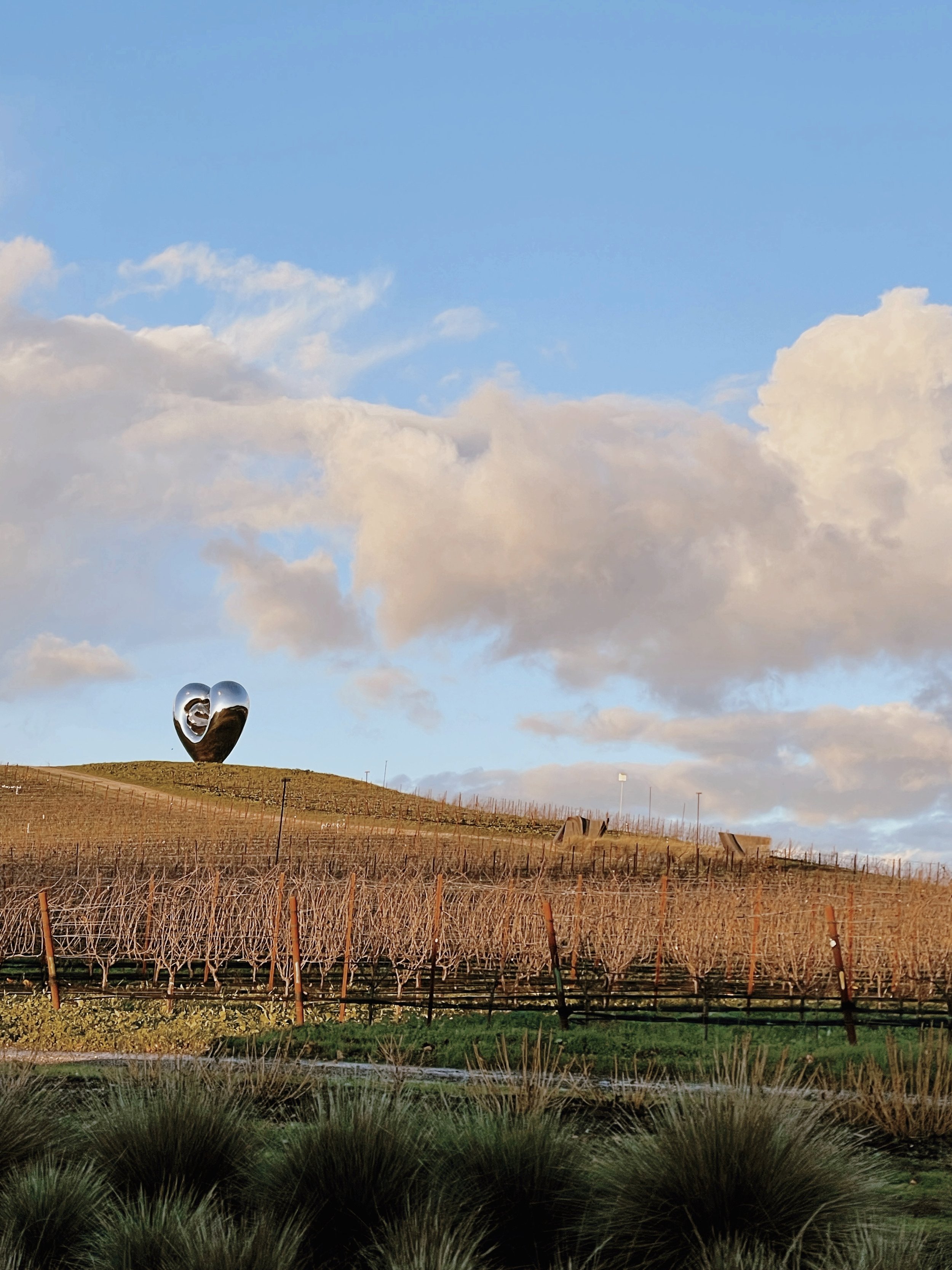 Winter in Wine Country