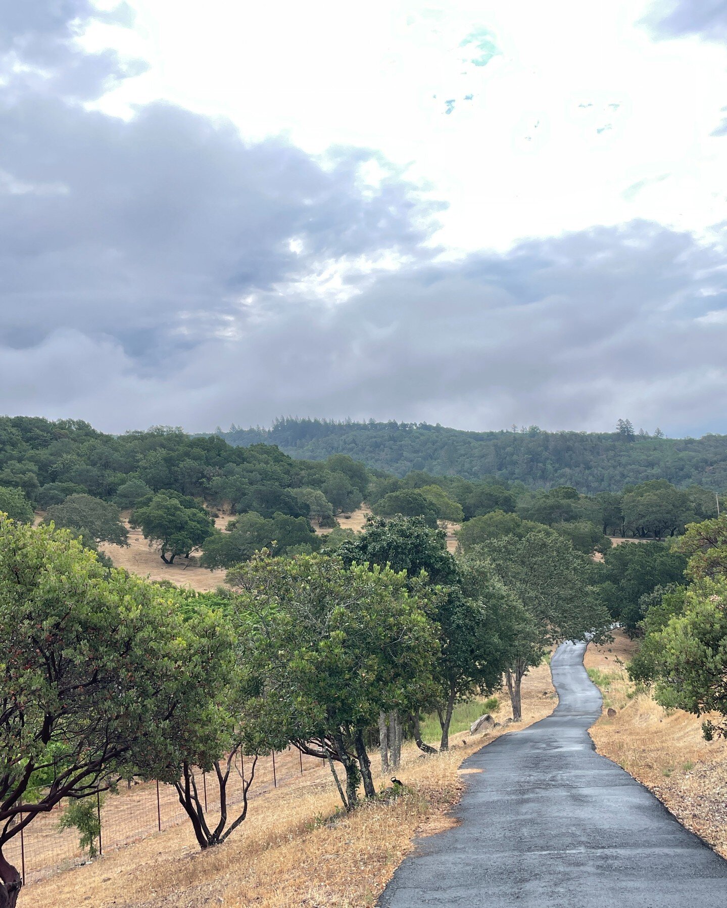 New project!  We are embarking on a remodel located at the top of the western hills of Somoma. Views for days!  This nondescript home is going to get a gorgeous make over!

#FletcherRhodes #FRstyle #InteriorDesign #SonomaInteriorDesigner #NapaInterio