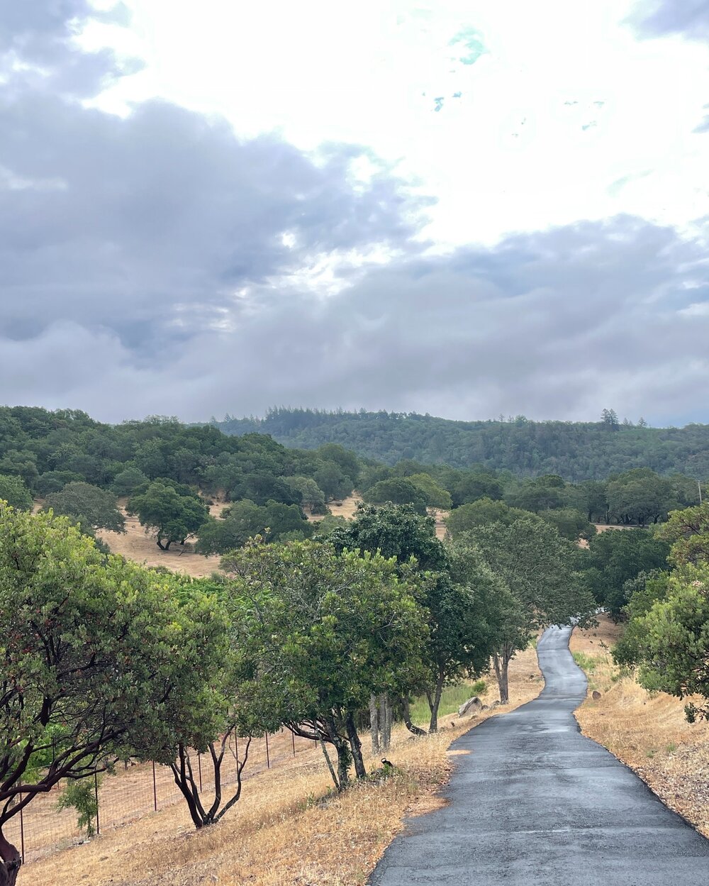 New project!  We are embarking on a remodel located at the top of the western hills of Somoma. Views for days!  This nondescript home is going to get a gorgeous make over!

#FletcherRhodes #FRstyle #InteriorDesign #SonomaInteriorDesigner #NapaInterio