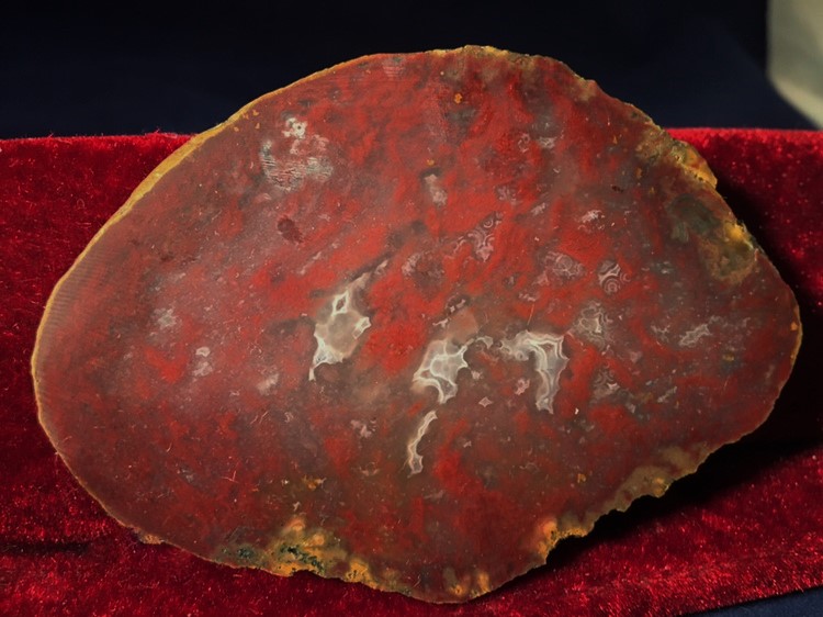 Kentucky Agate 6.JPG