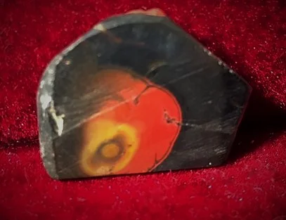 Kentucky Agate 7.JPG