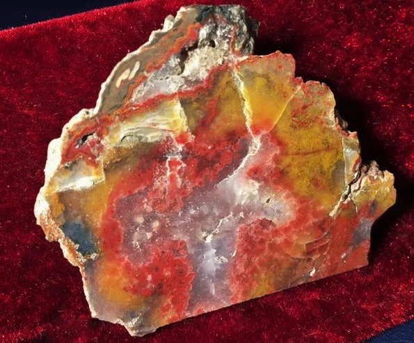 Kentucky Agate 8.JPG