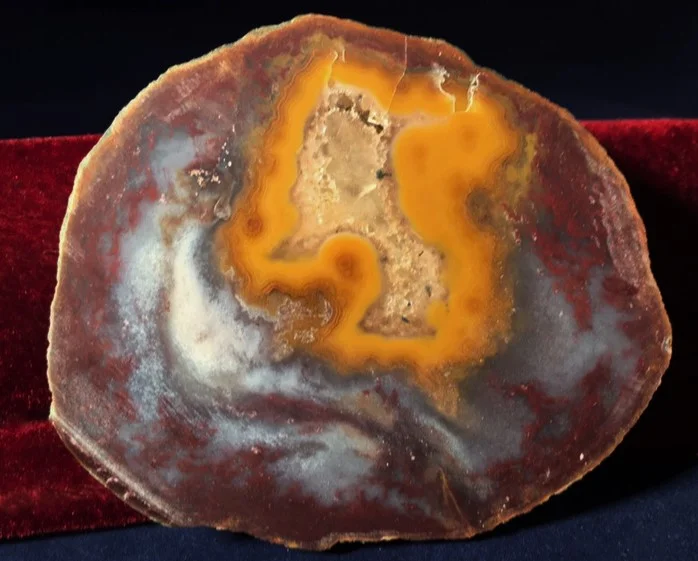 Kentucky Agate 9.JPG