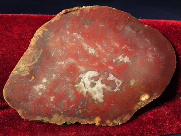 Kentucky Agate 10.JPG