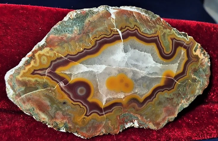 Kentucky Agate 11.JPG