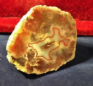 Kentucky Agate 12.JPG