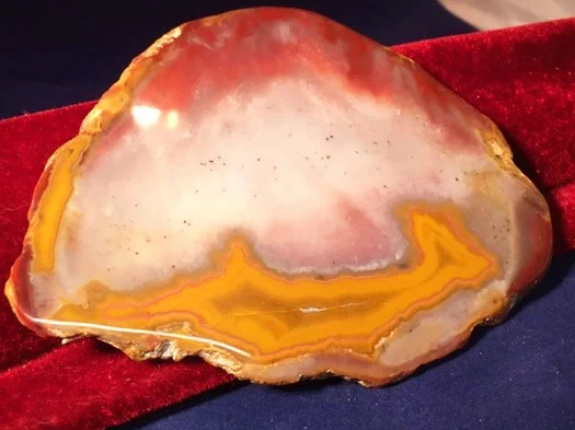 Kentucky Agate 1.JPG